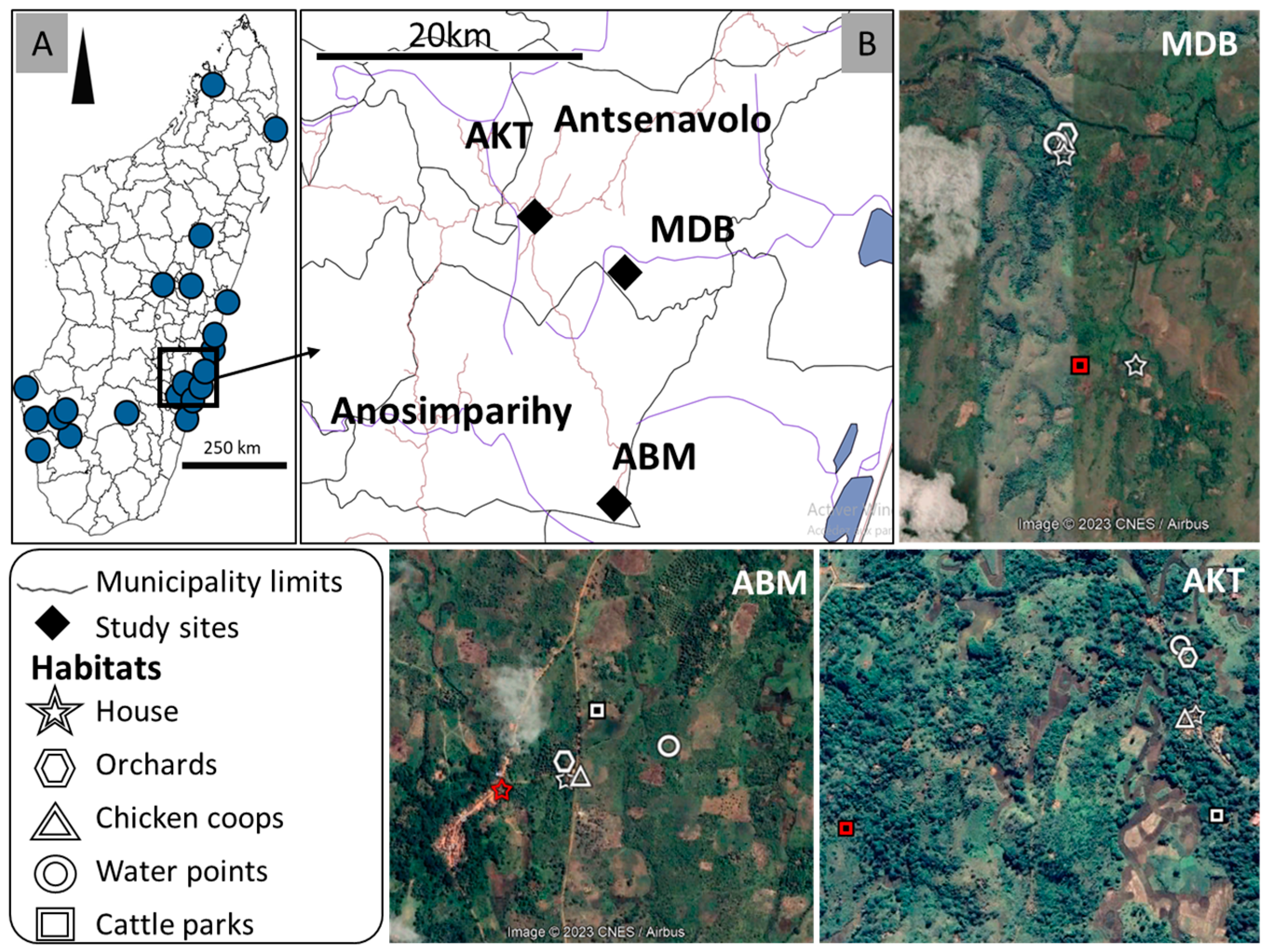 Pathogens 13 00258 g001