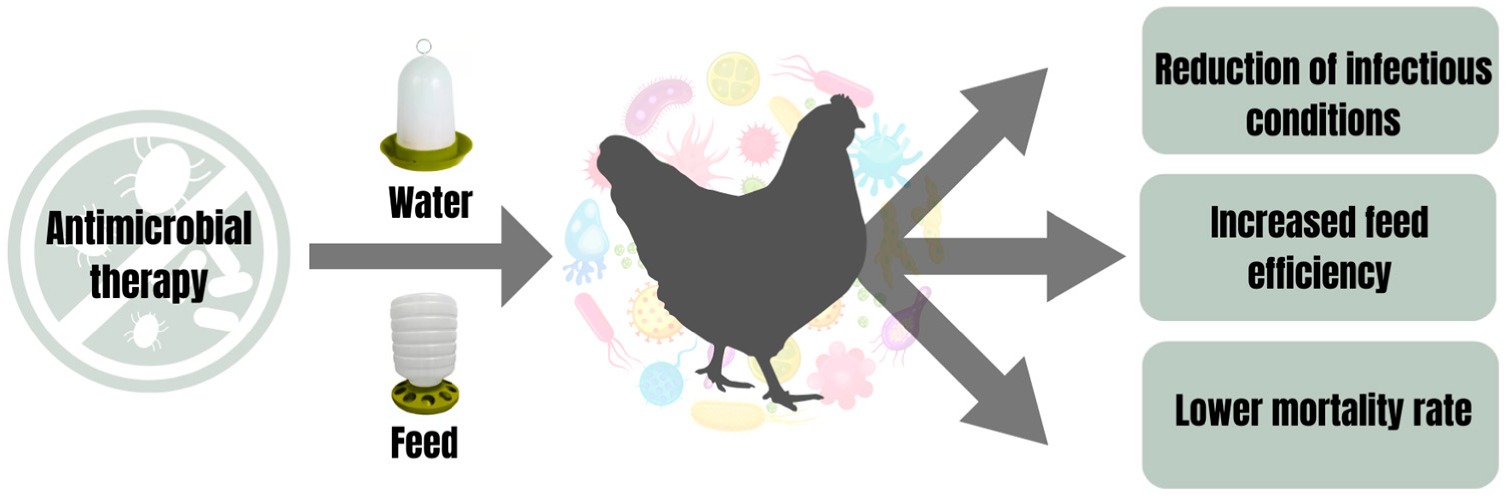 Pathogens 13 00260 g001