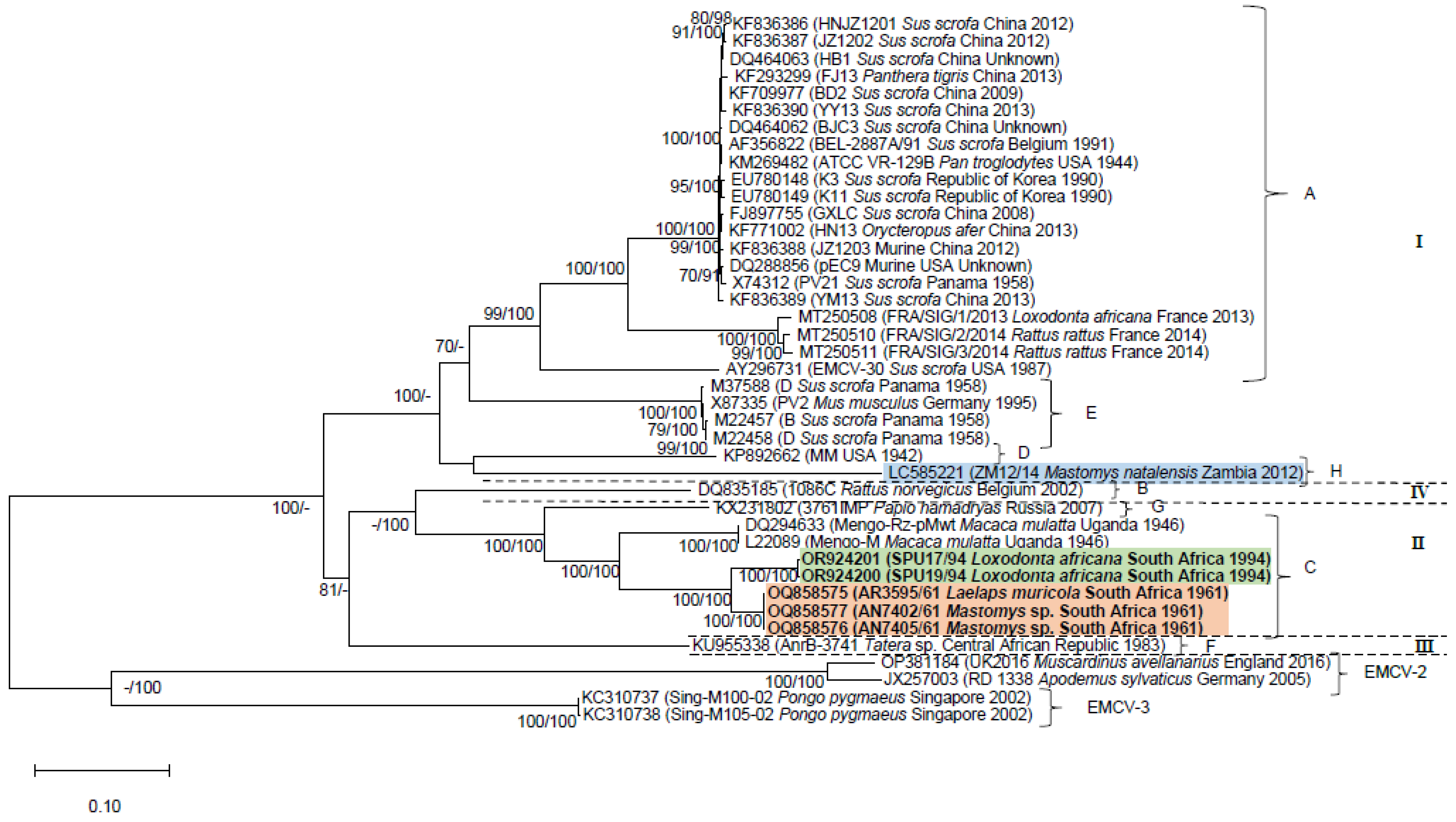 Pathogens 13 00261 g001