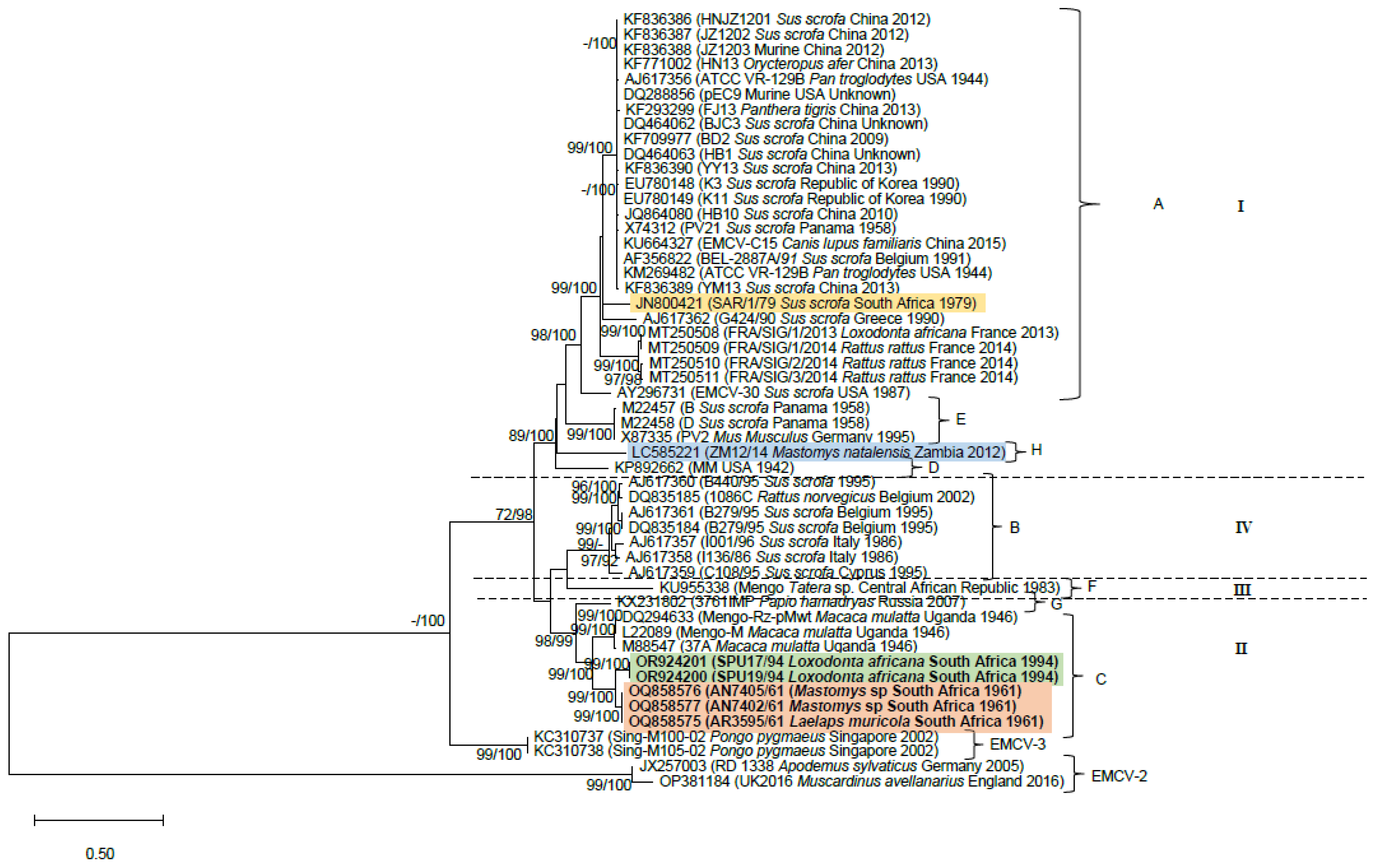 Pathogens 13 00261 g002