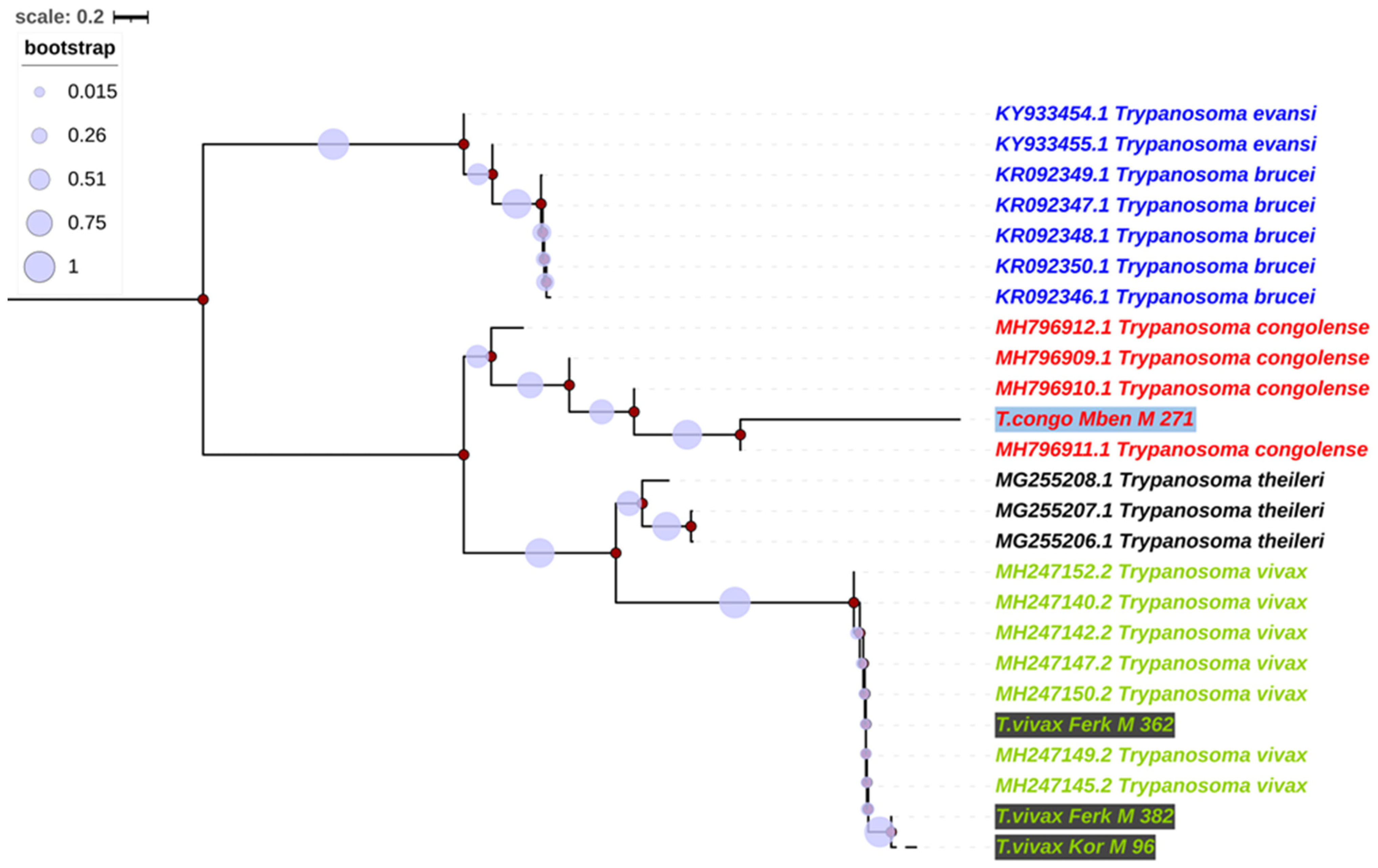 Pathogens 13 00262 g001