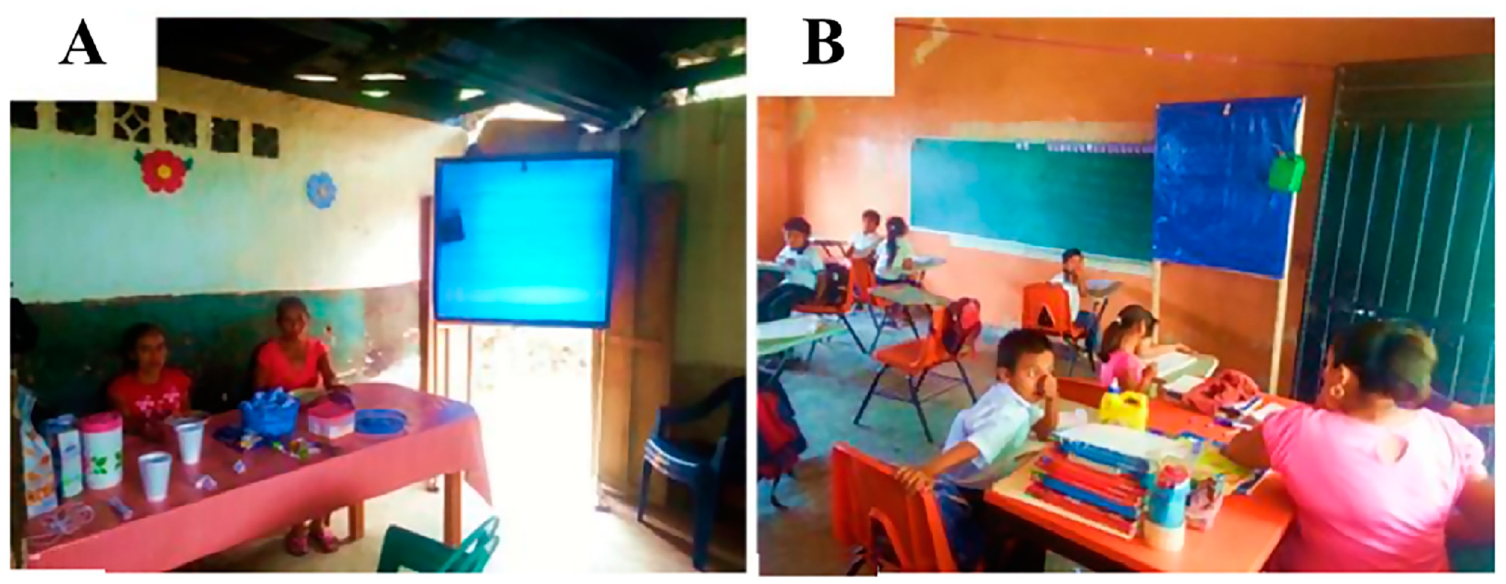 Pathogens 13 00268 g003