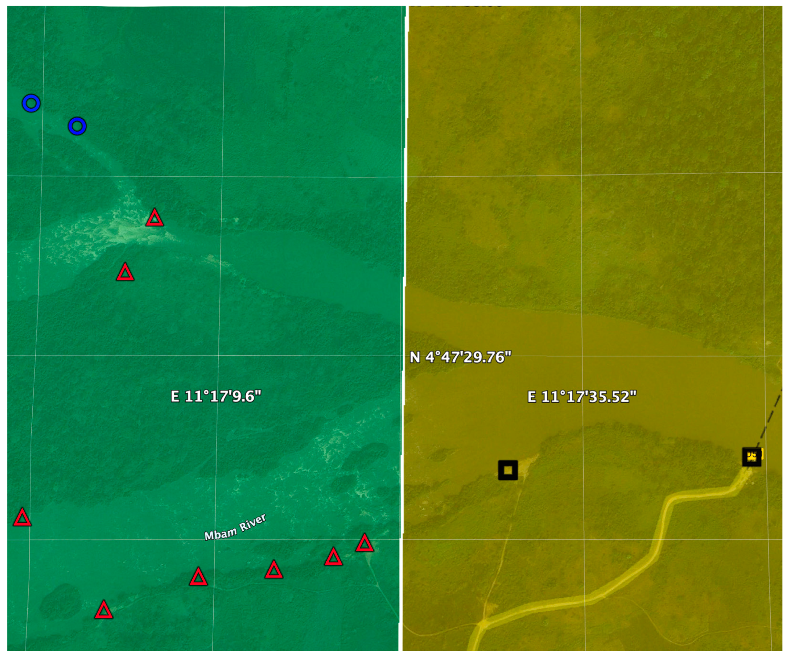Pathogens 13 00268 g010