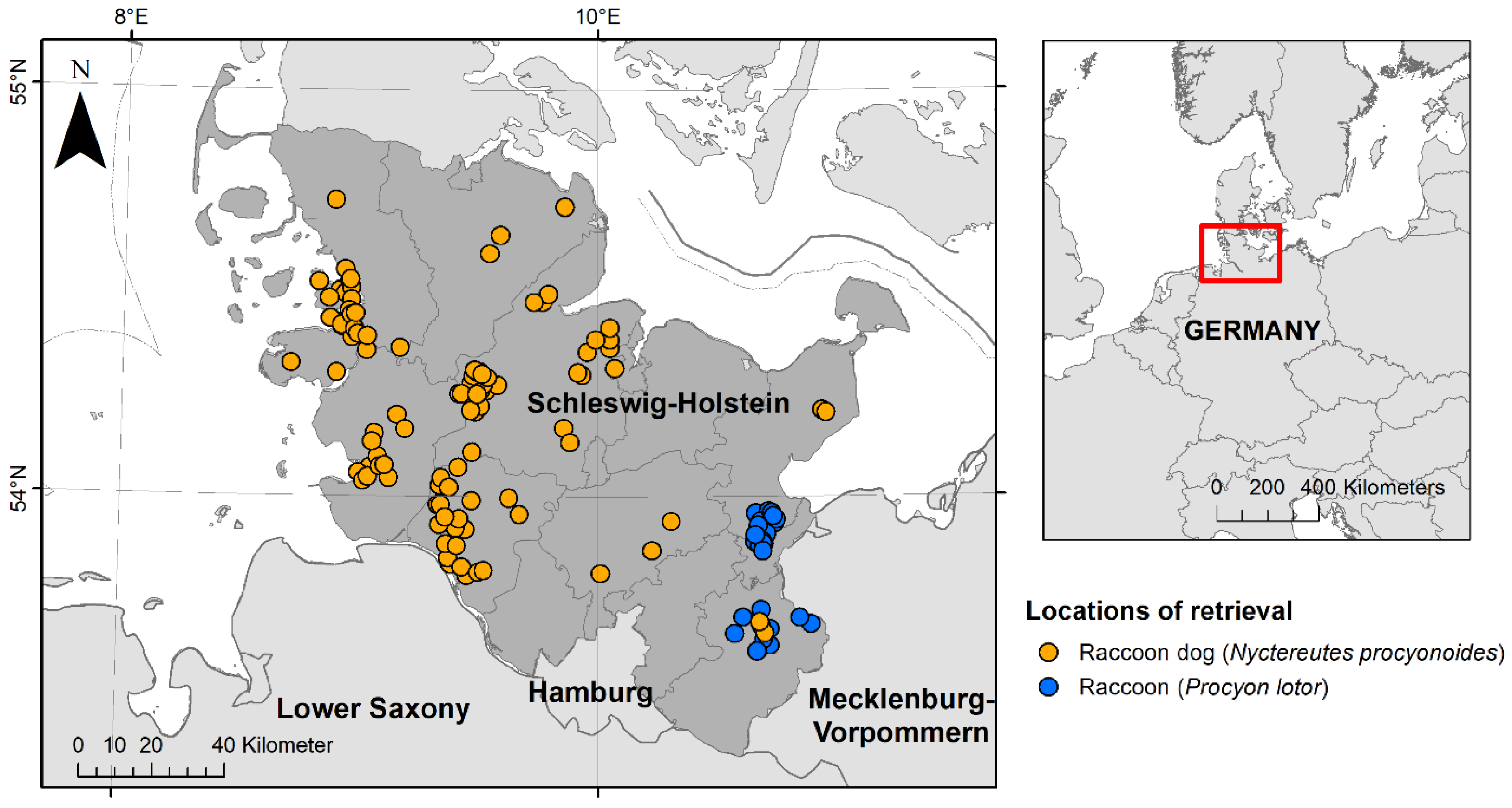 Pathogens 13 00270 g001