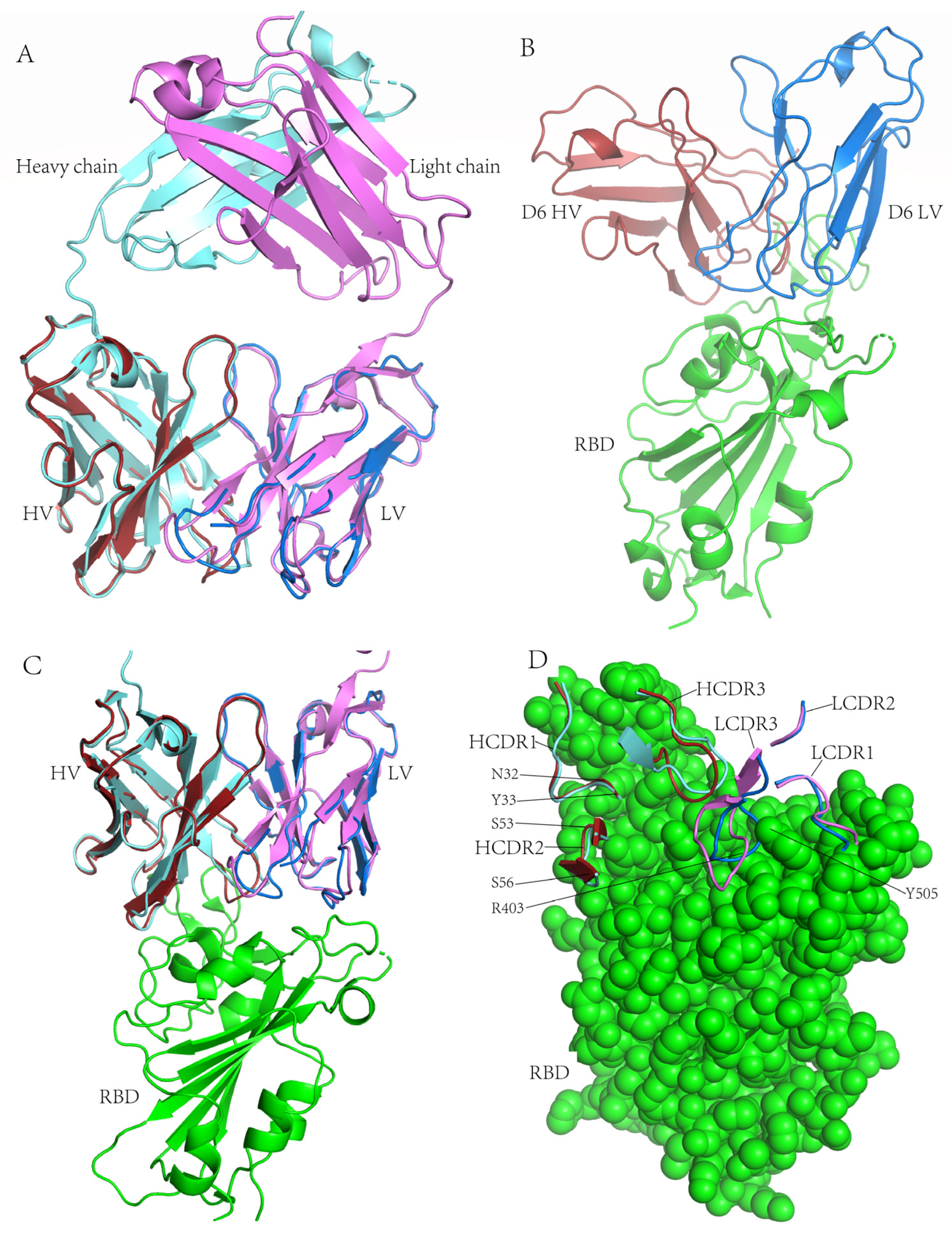 Pathogens 13 00272 g007