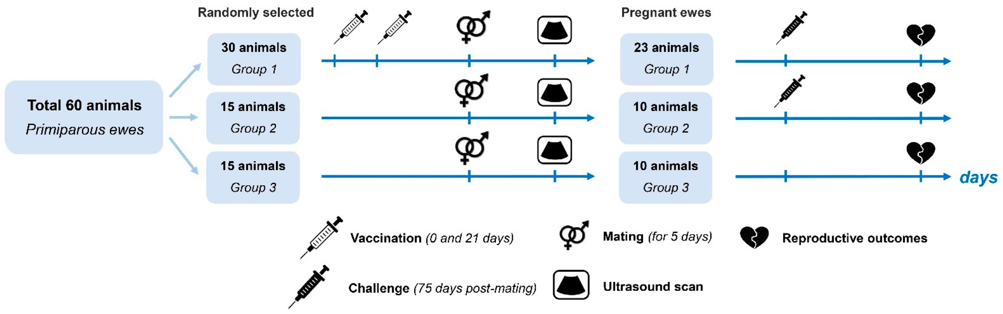 Pathogens 13 00277 g001