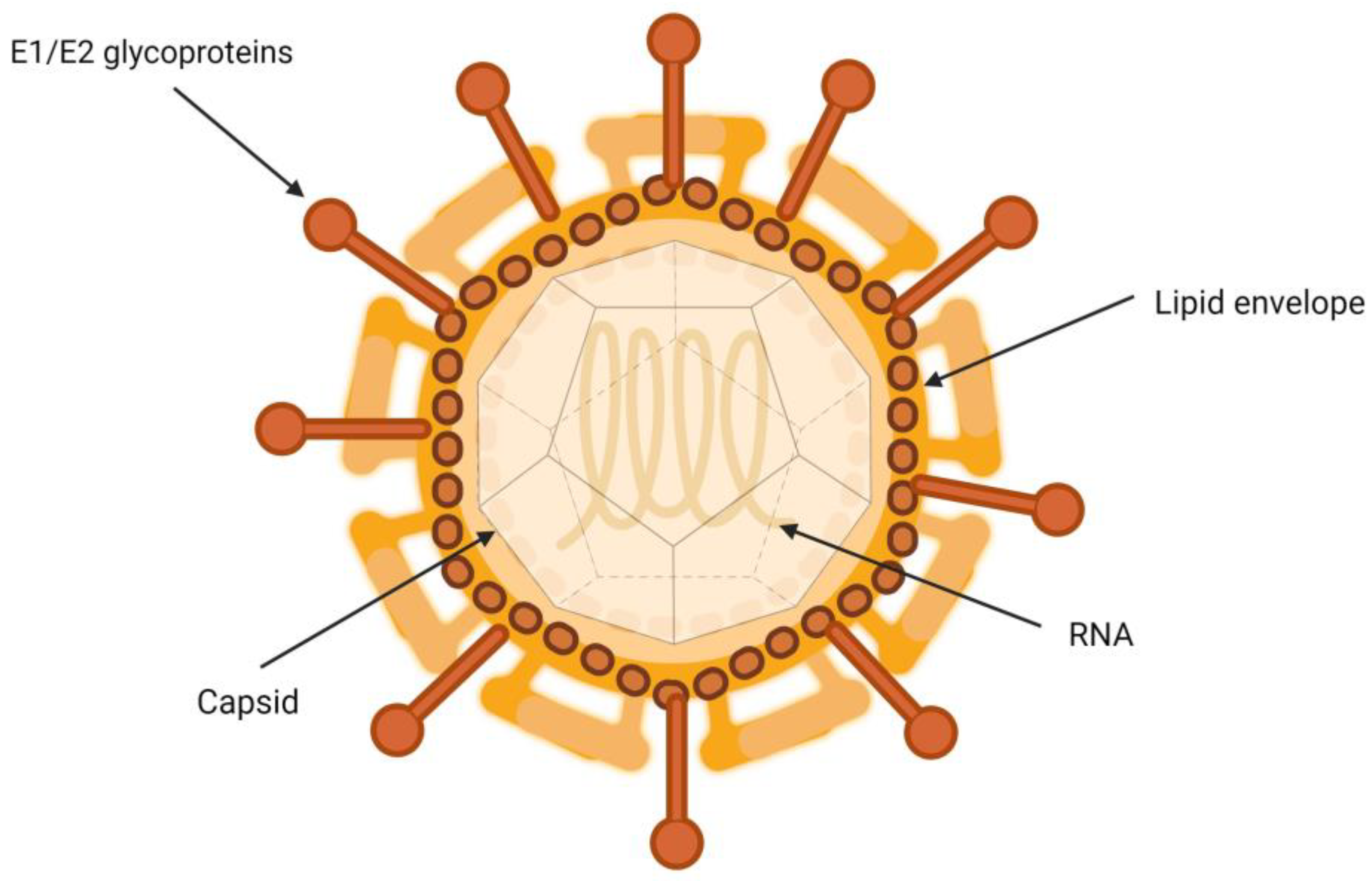 Pathogens 13 00278 g001