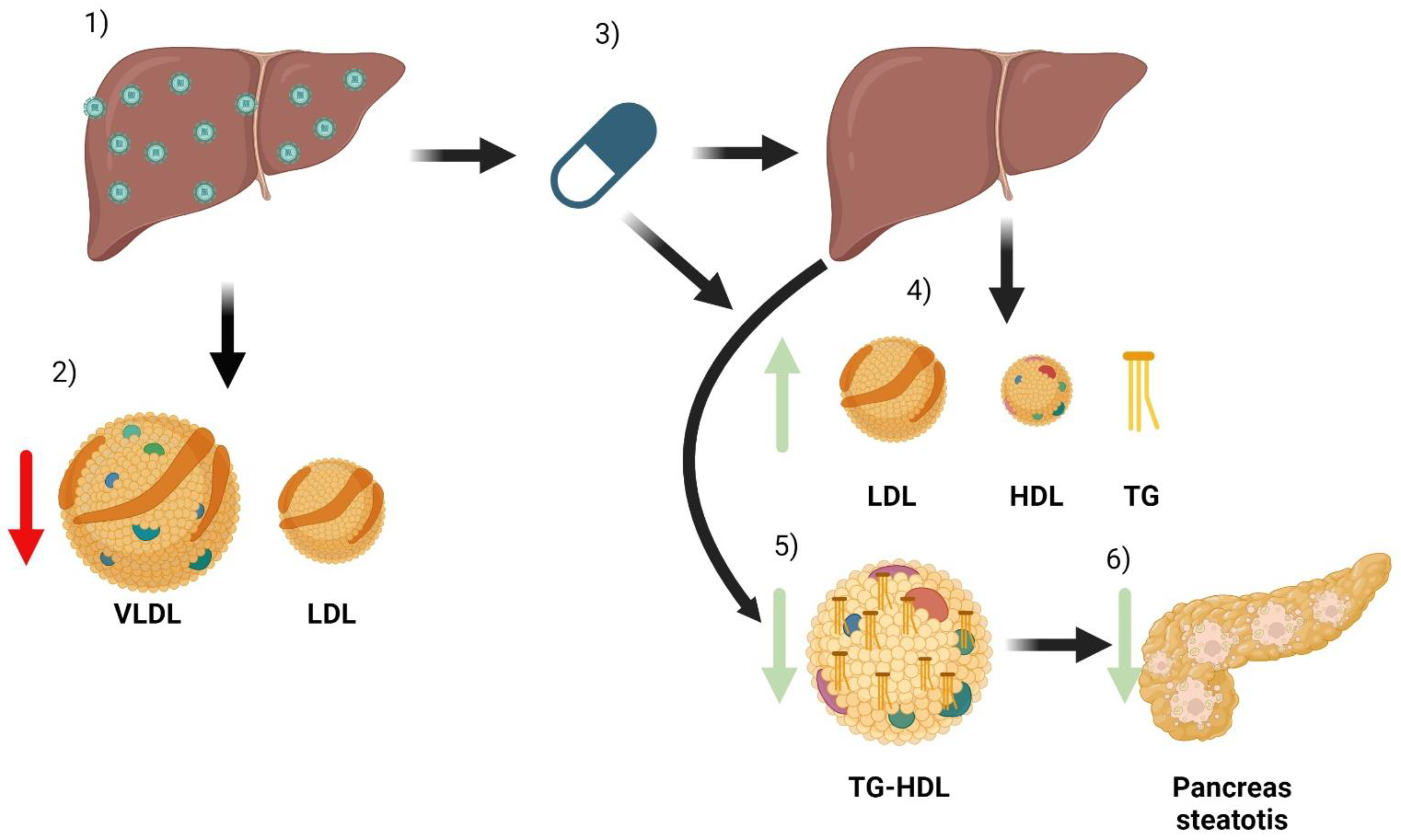 Pathogens 13 00278 g002