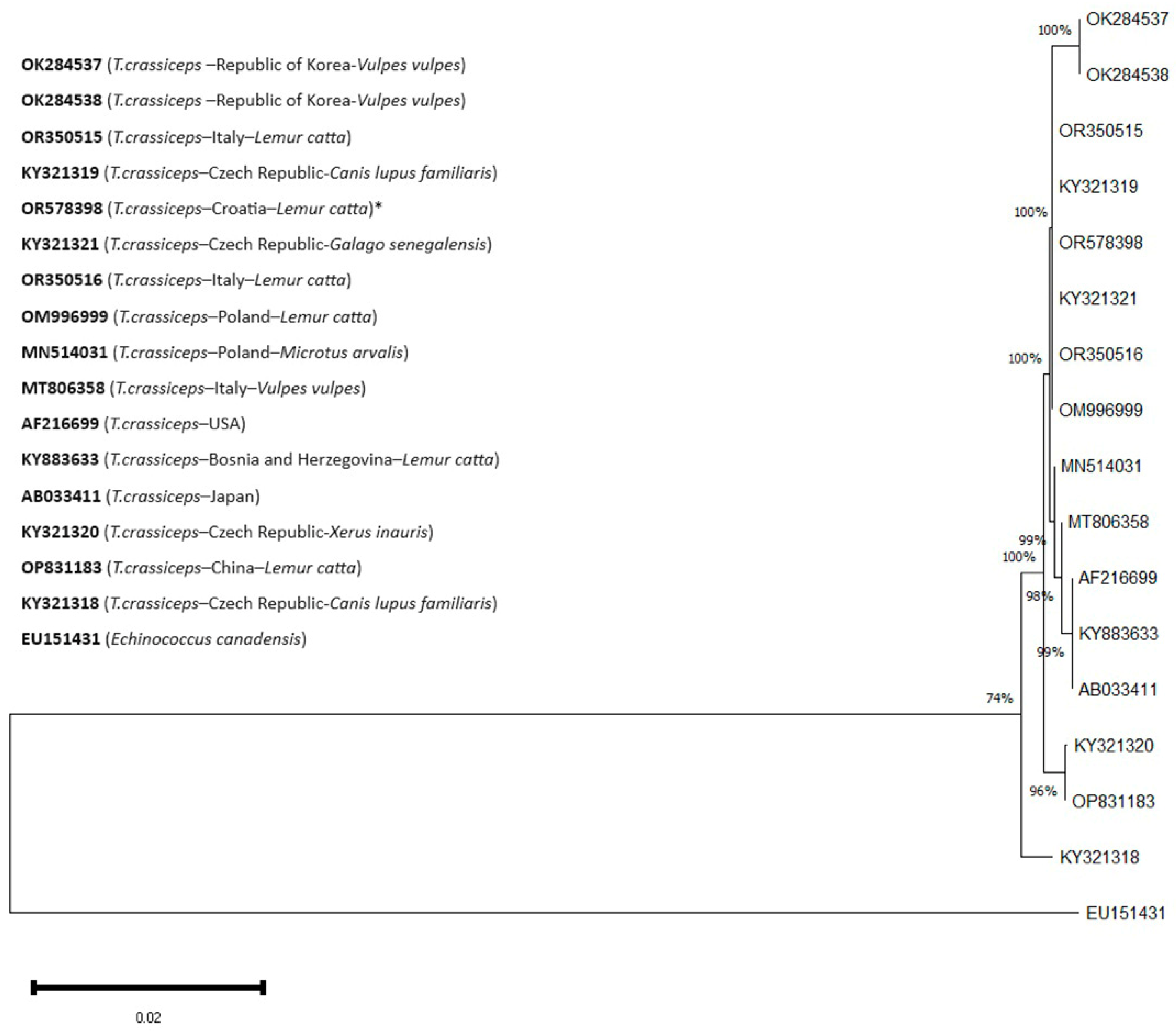 Pathogens 13 00283 g005