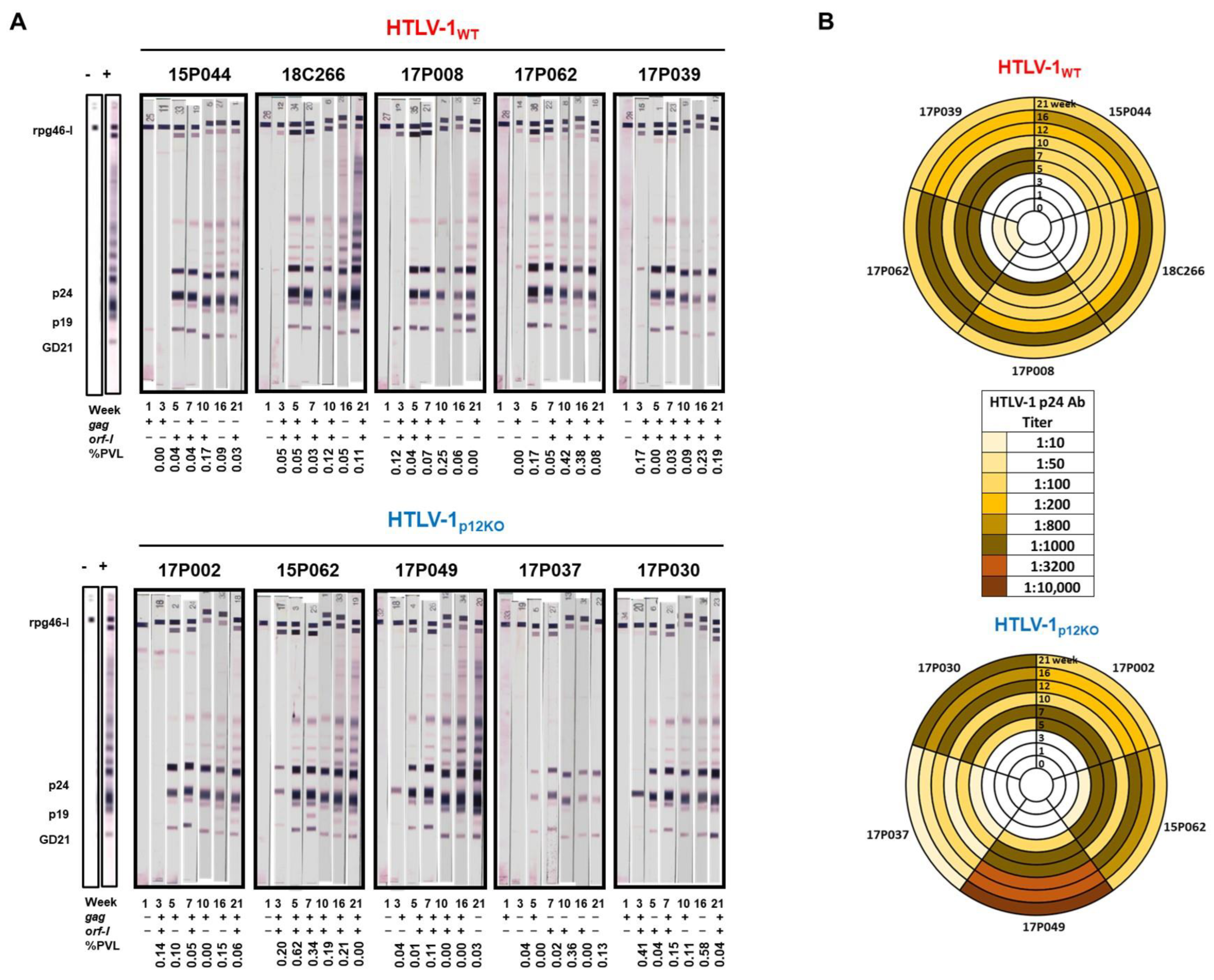 Pathogens 13 00292 g002