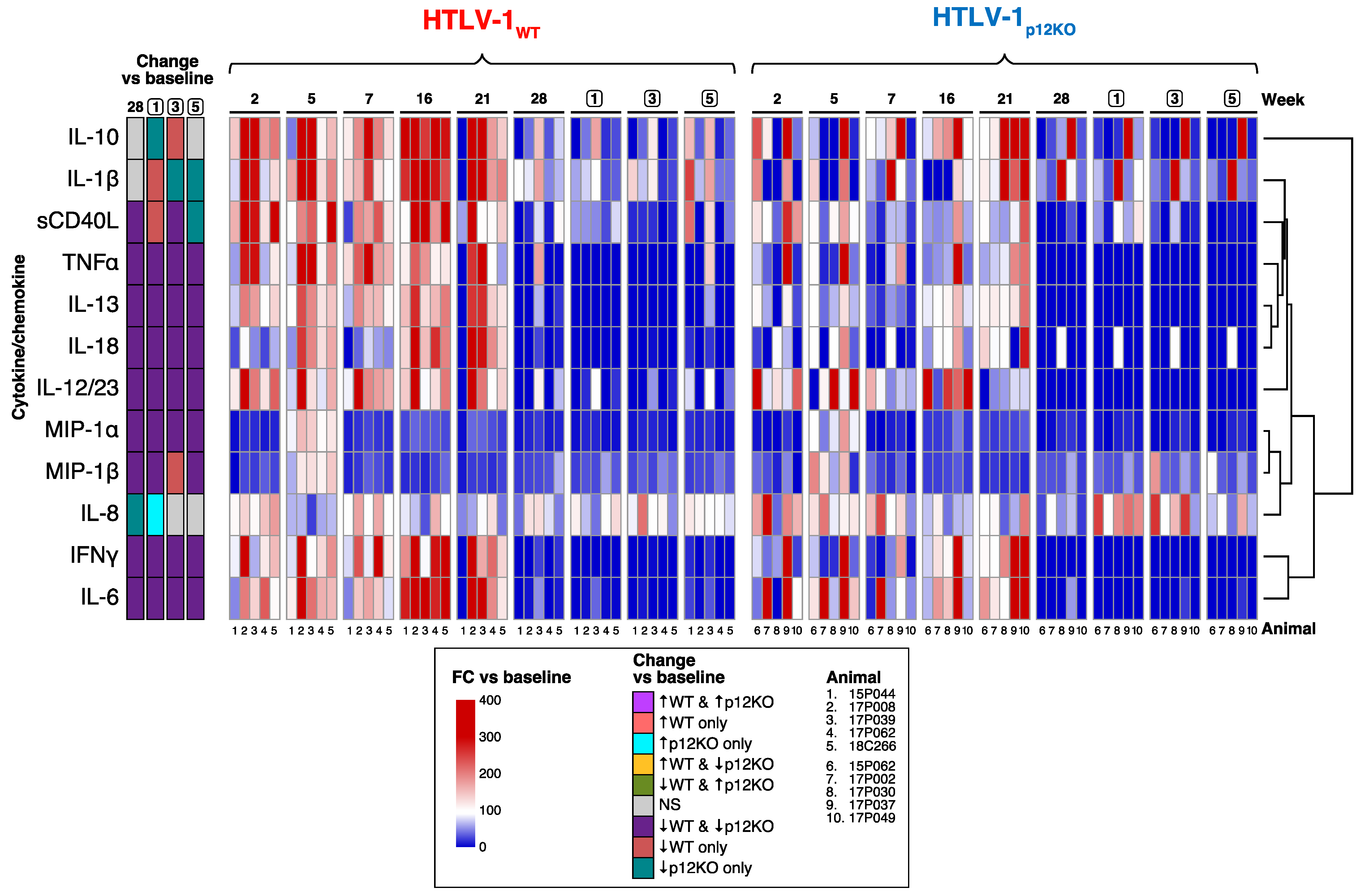 Pathogens 13 00292 g006