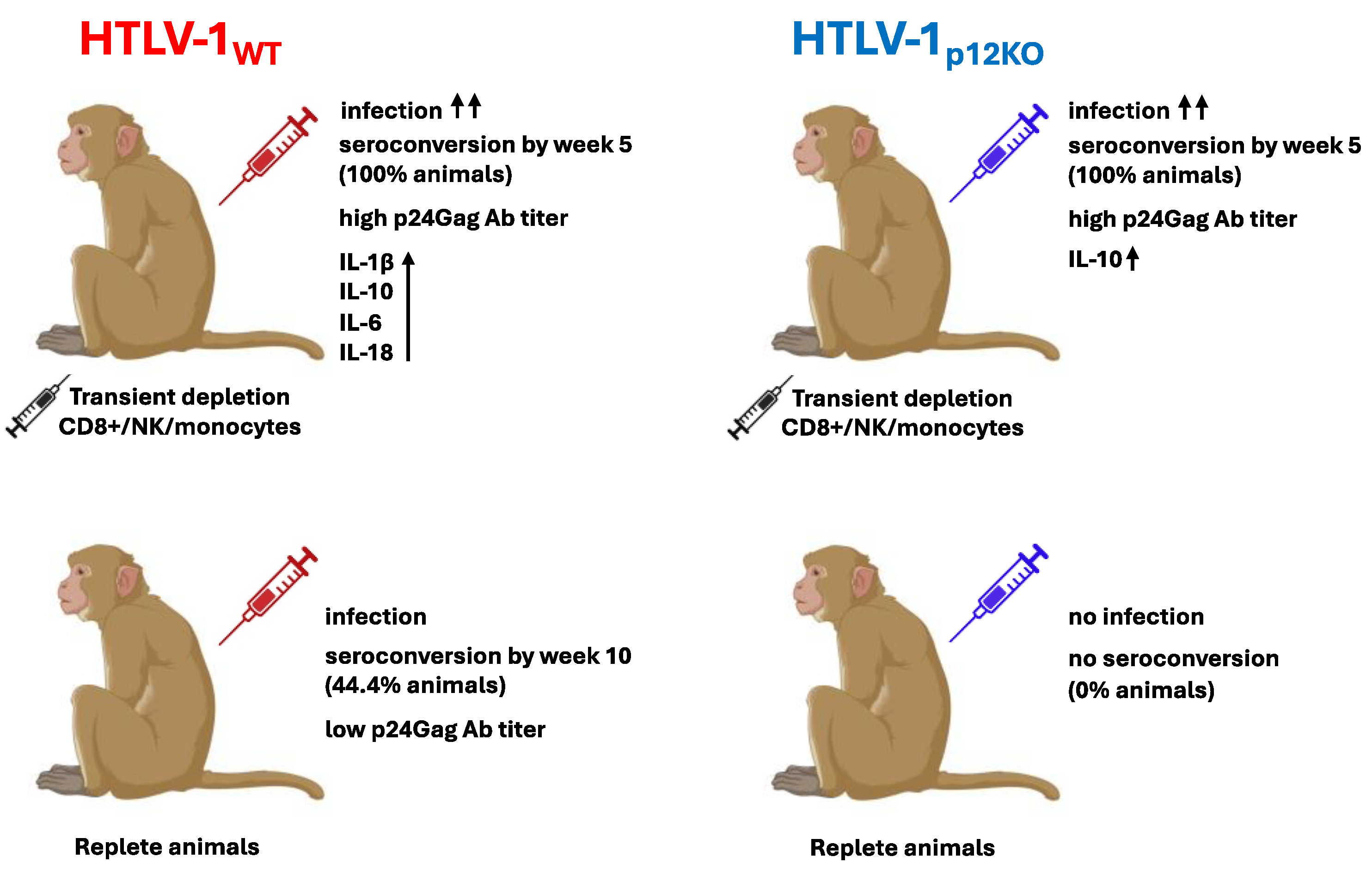 Pathogens 13 00292 g007