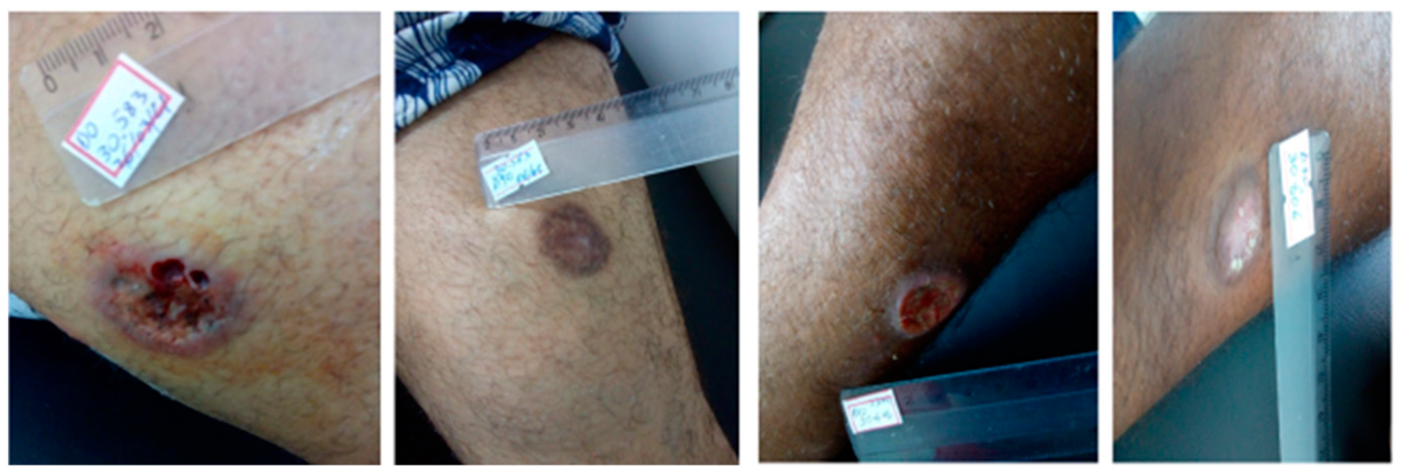 Pathogens 13 00301 g001