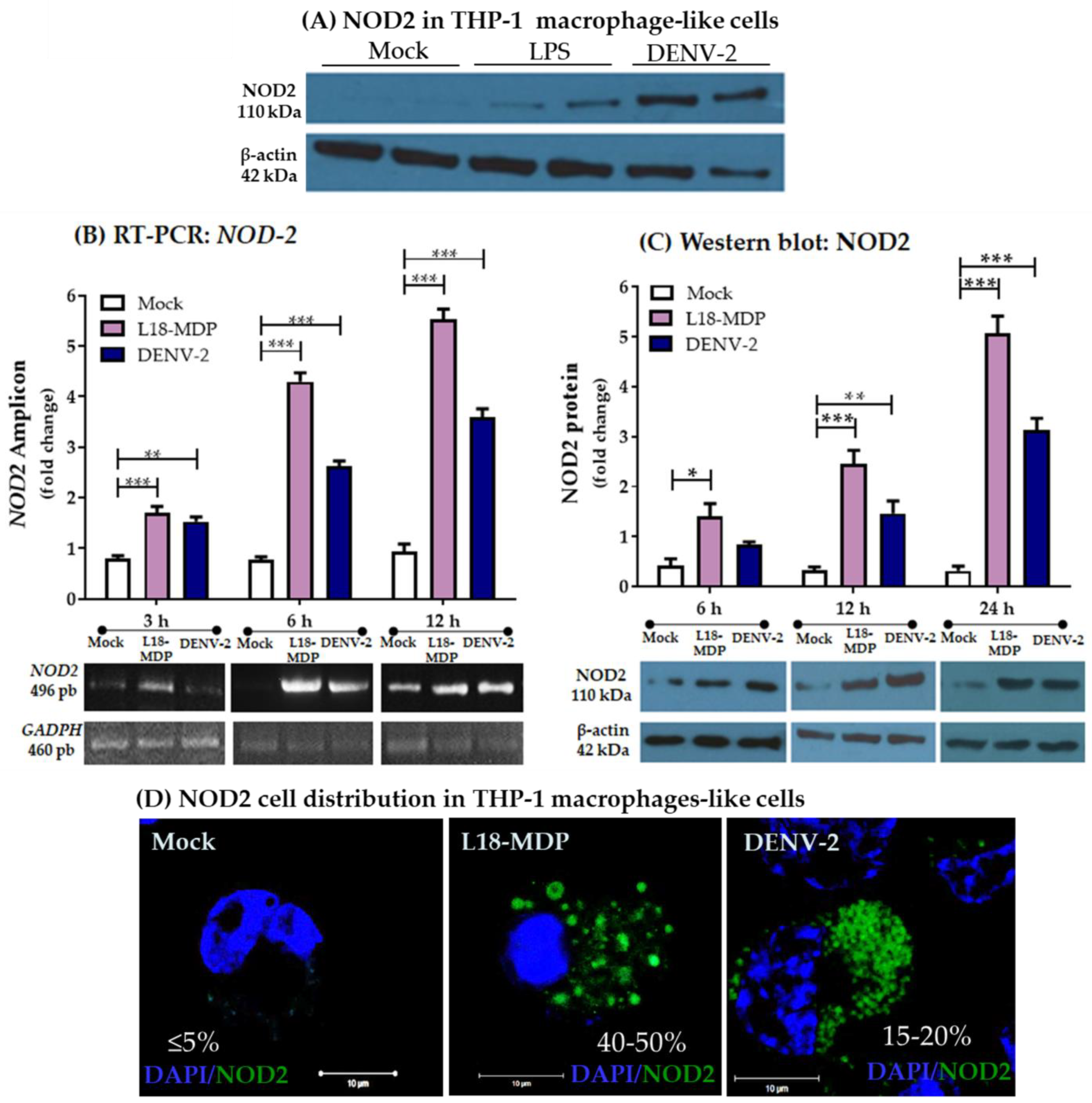 Pathogens 13 00306 g001