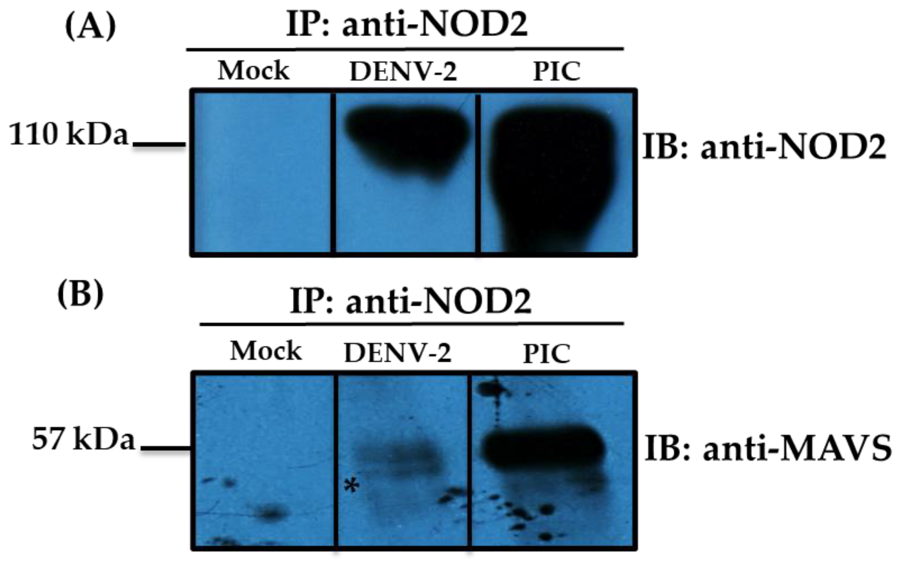 Pathogens 13 00306 g003
