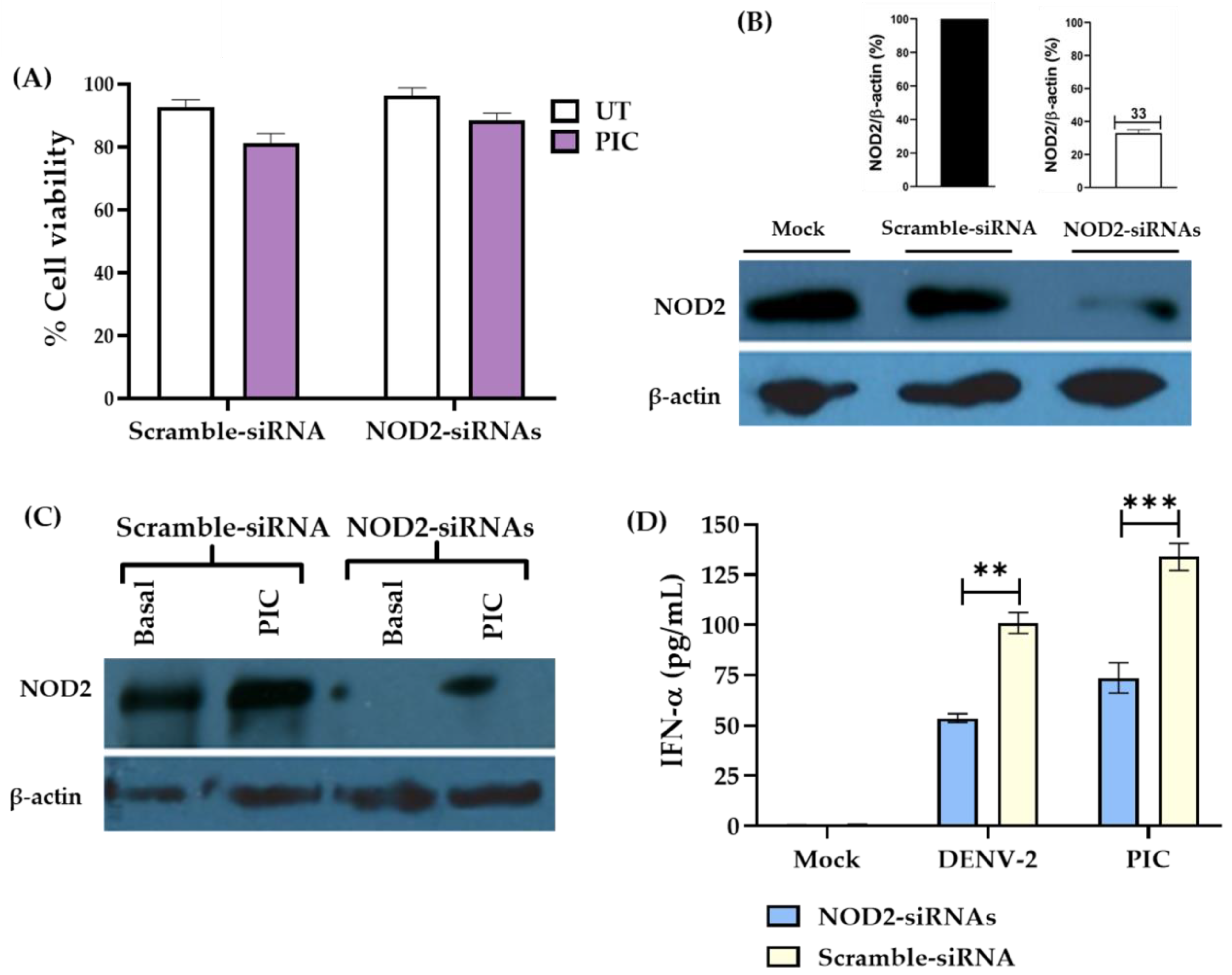 Pathogens 13 00306 g004