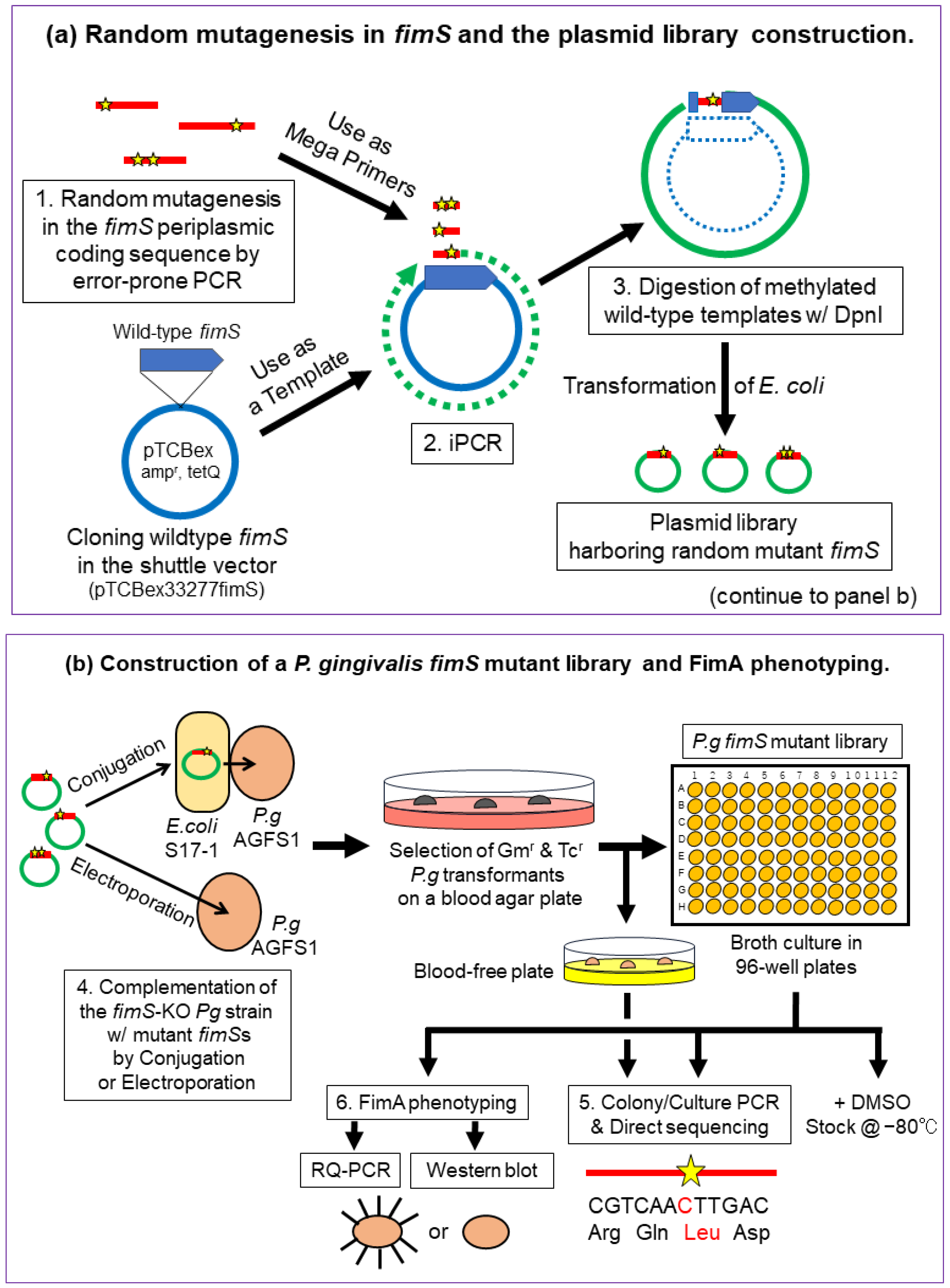 Pathogens 13 00309 g002