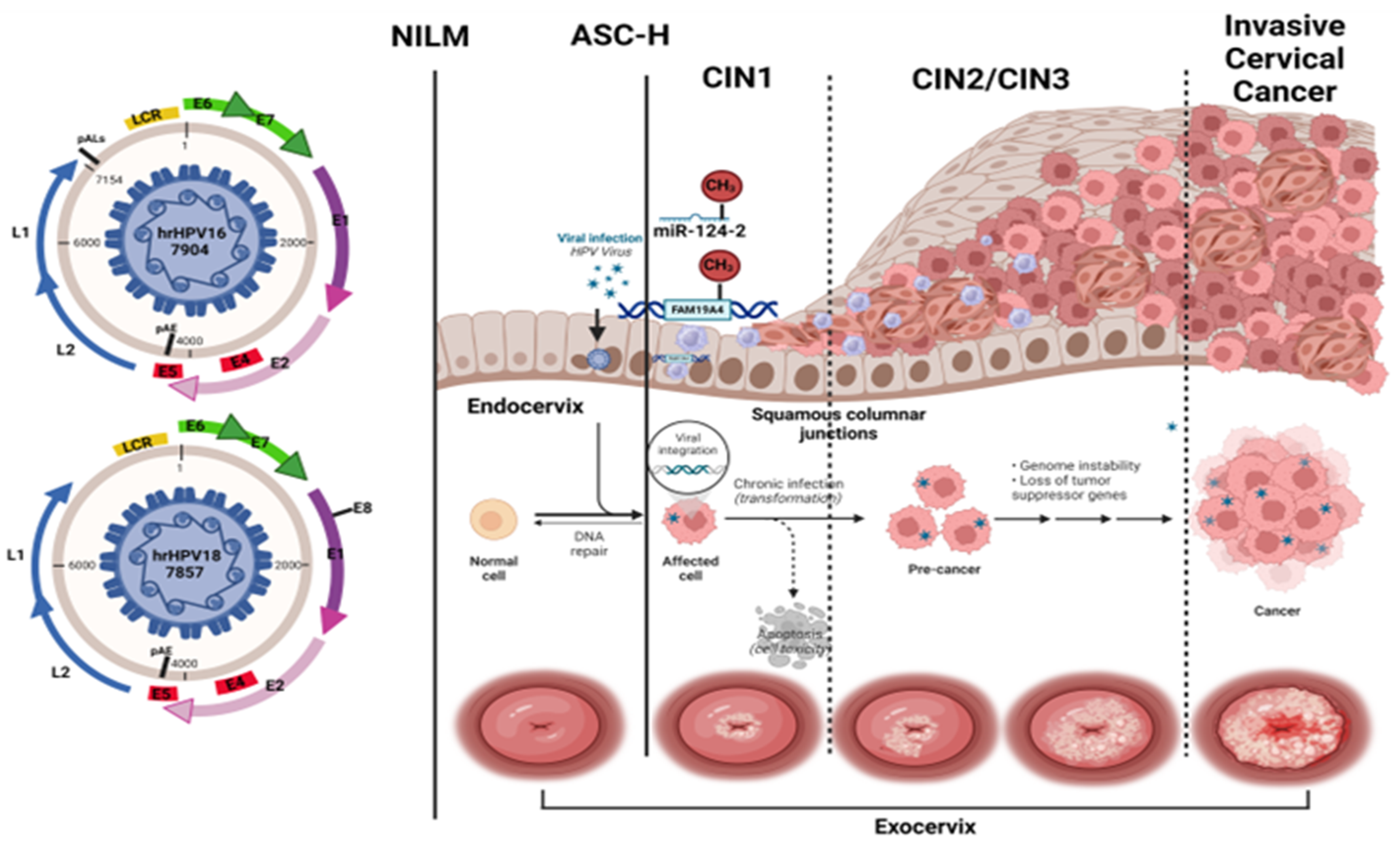 Pathogens 13 00312 g001