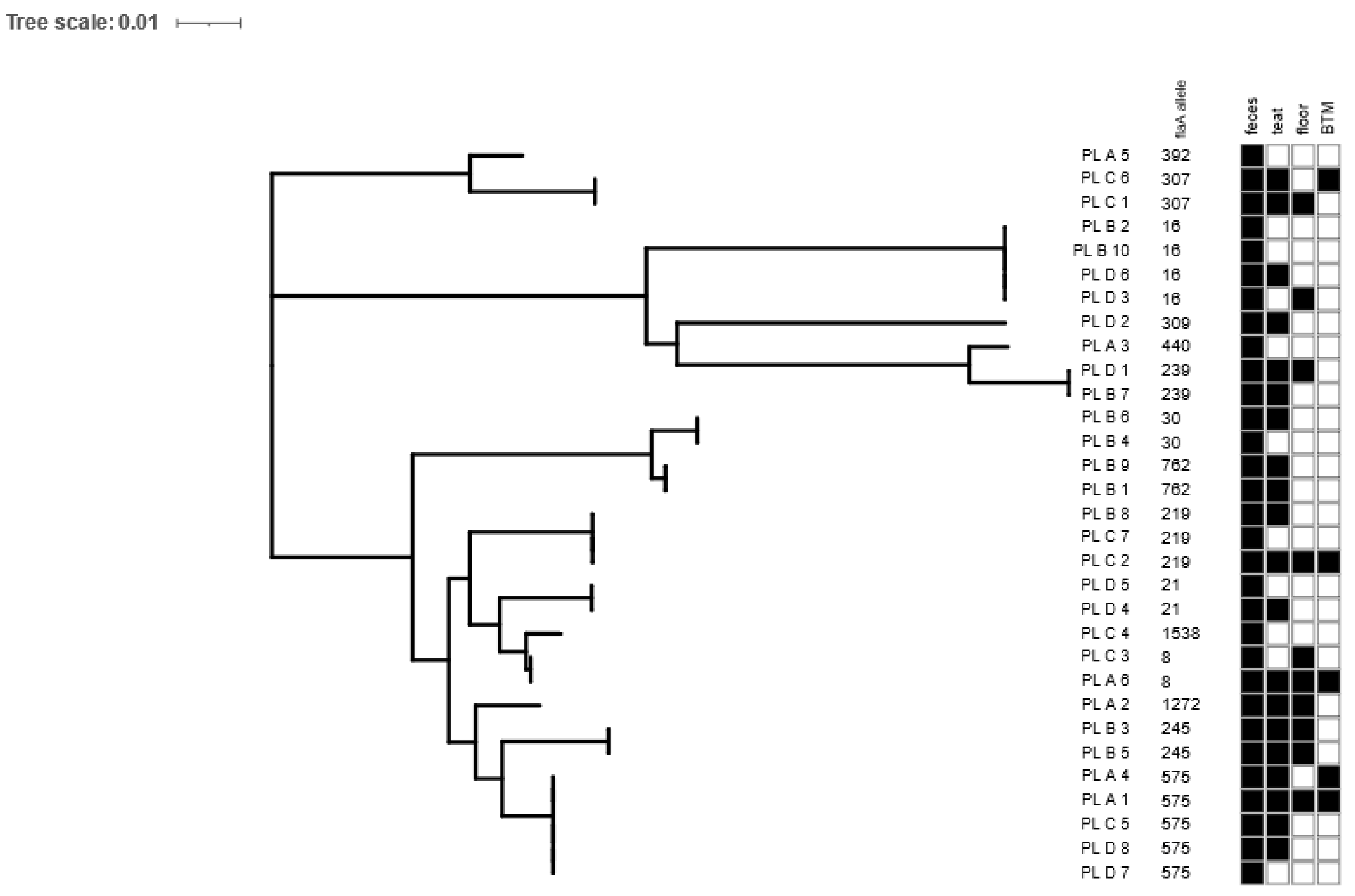 Pathogens 13 00317 g002 Pathogens 13 00317 g002