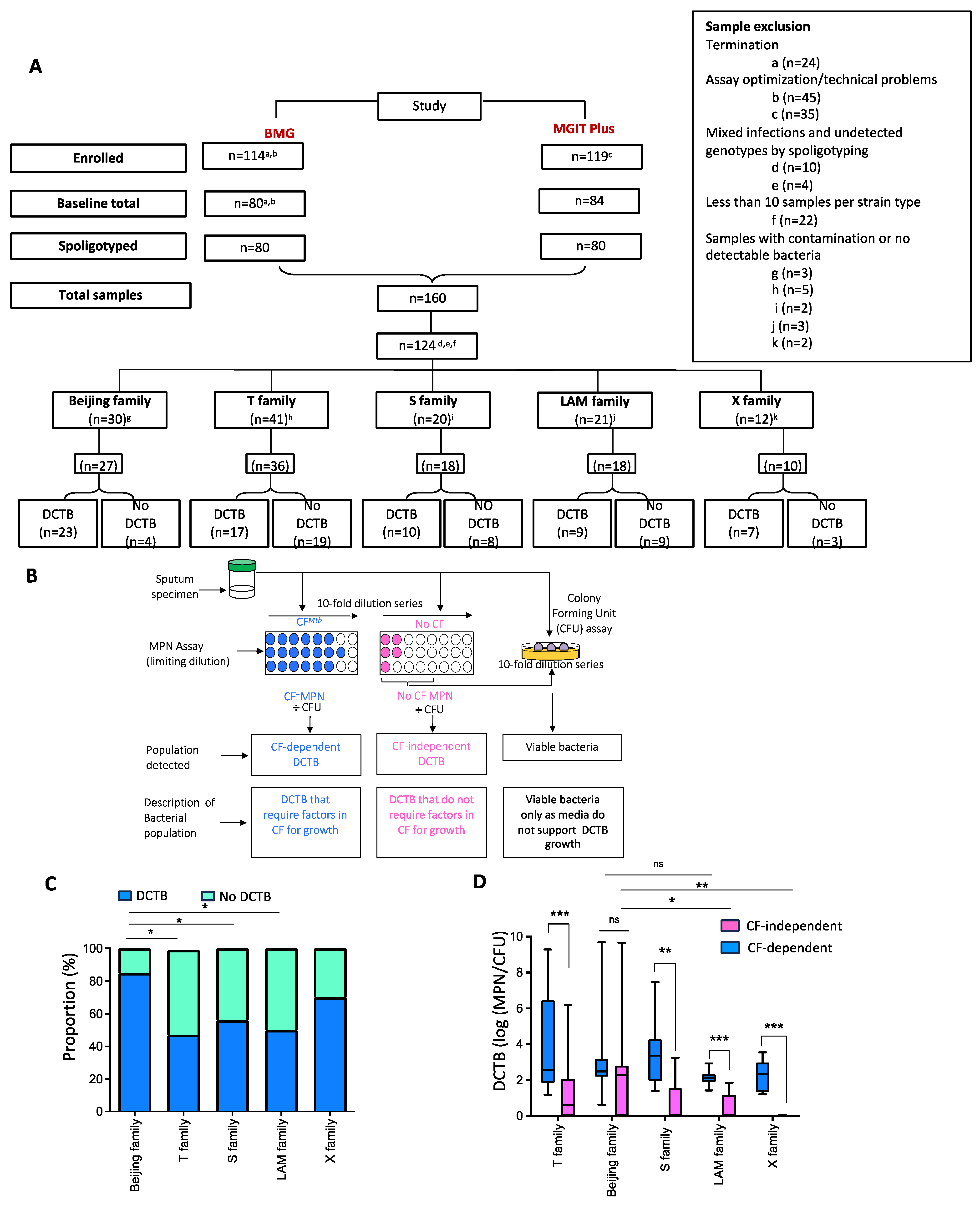 Pathogens 13 00318 g001