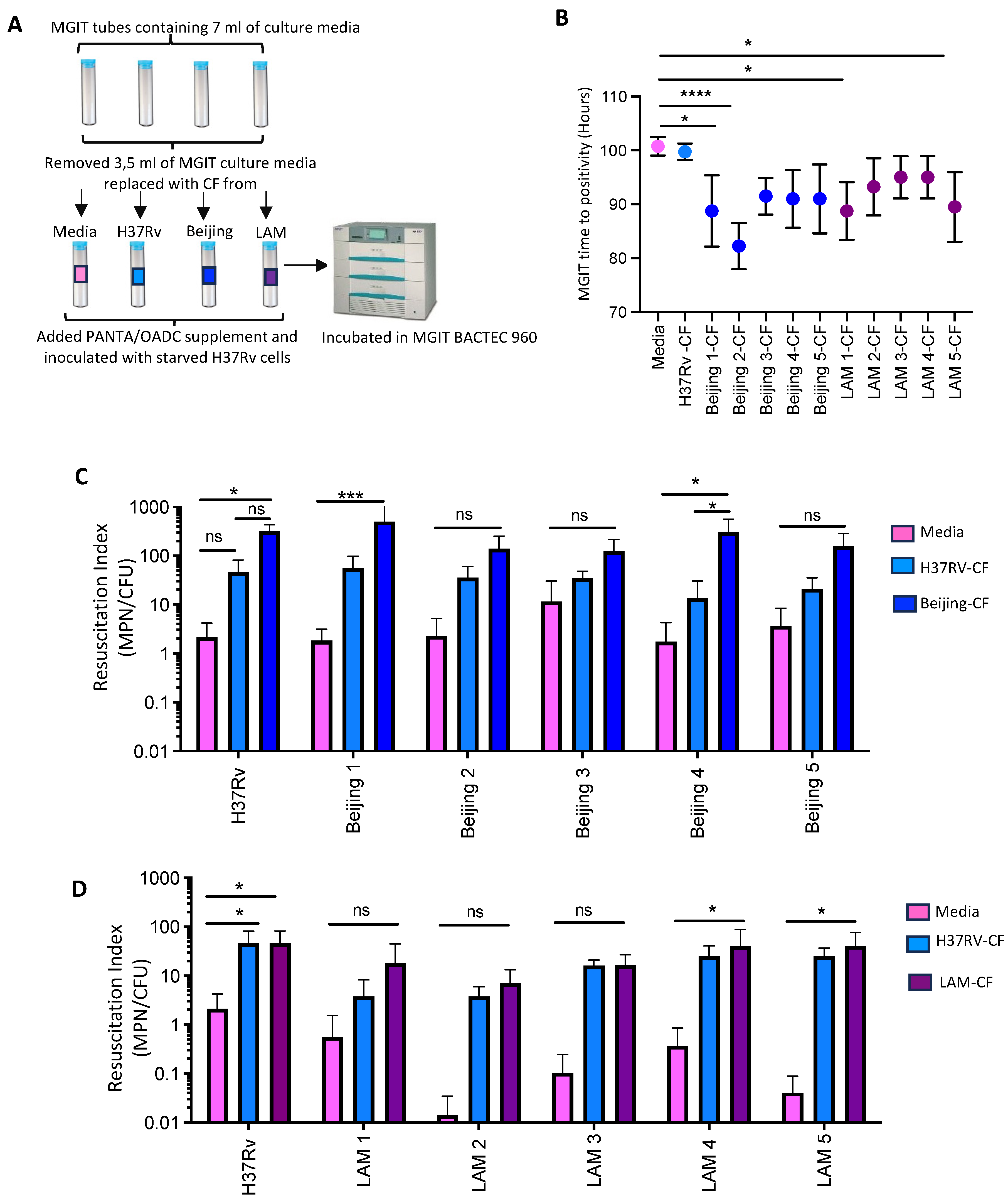 Pathogens 13 00318 g004