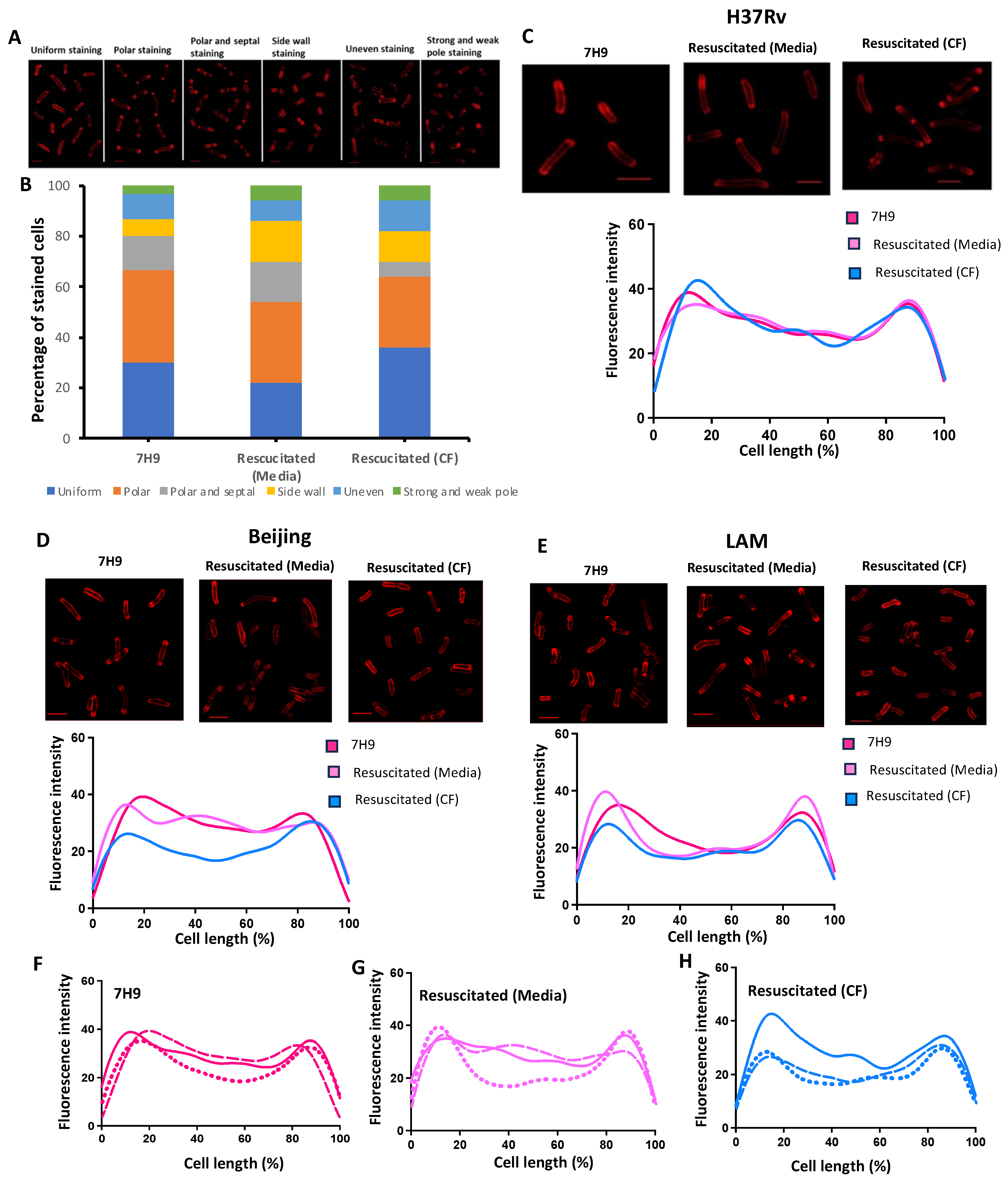 Pathogens 13 00318 g005