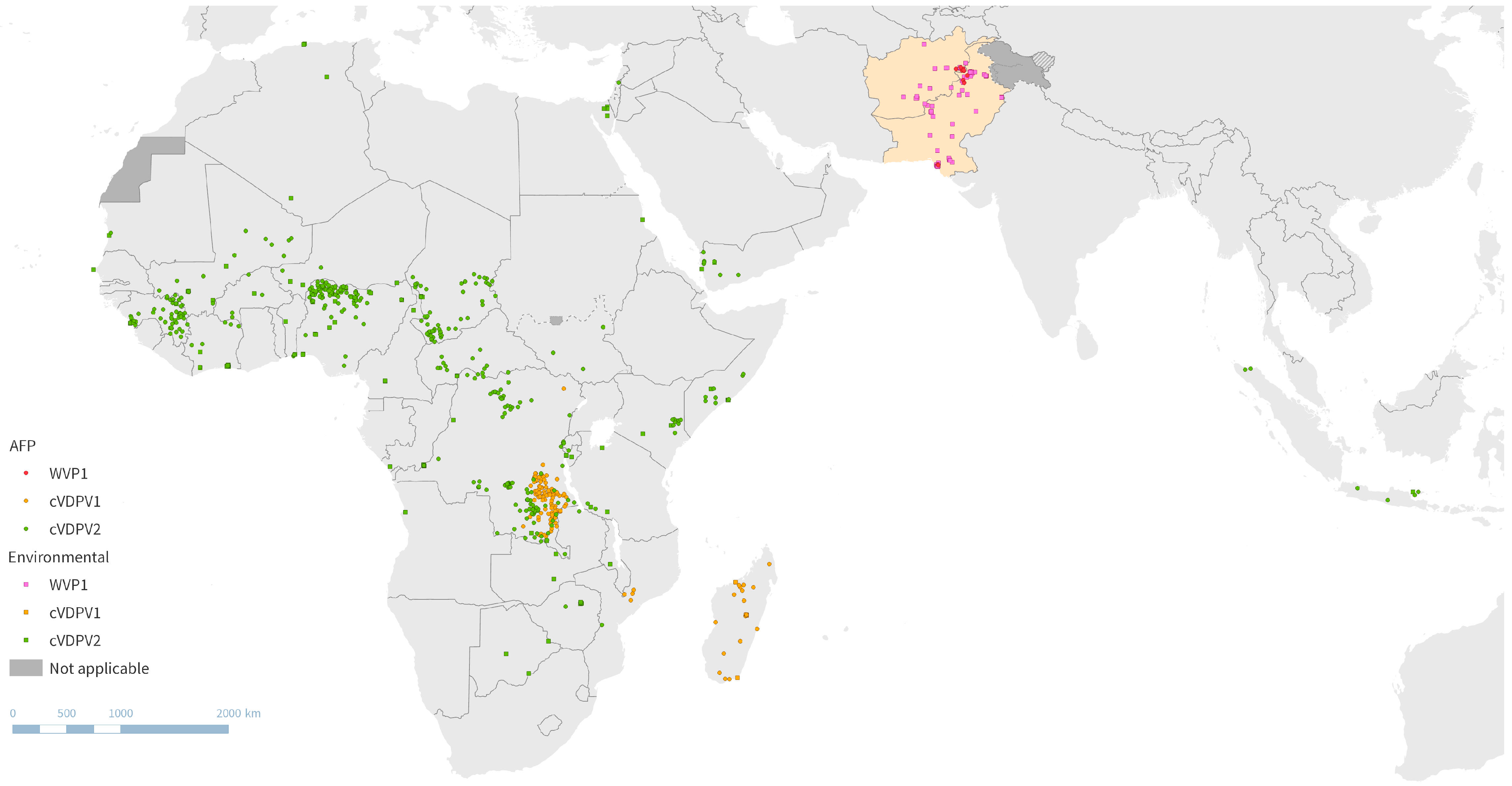 Pathogens 13 00323 g001