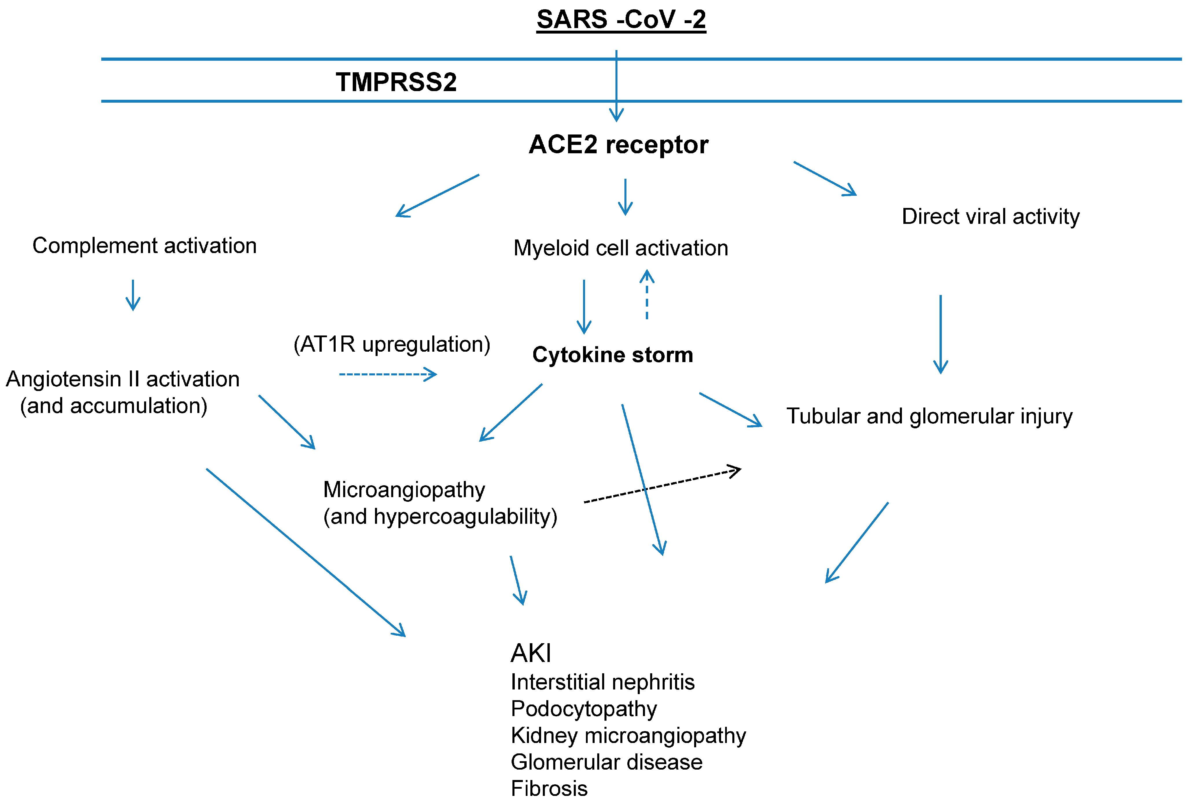 Pathogens 13 00325 g002