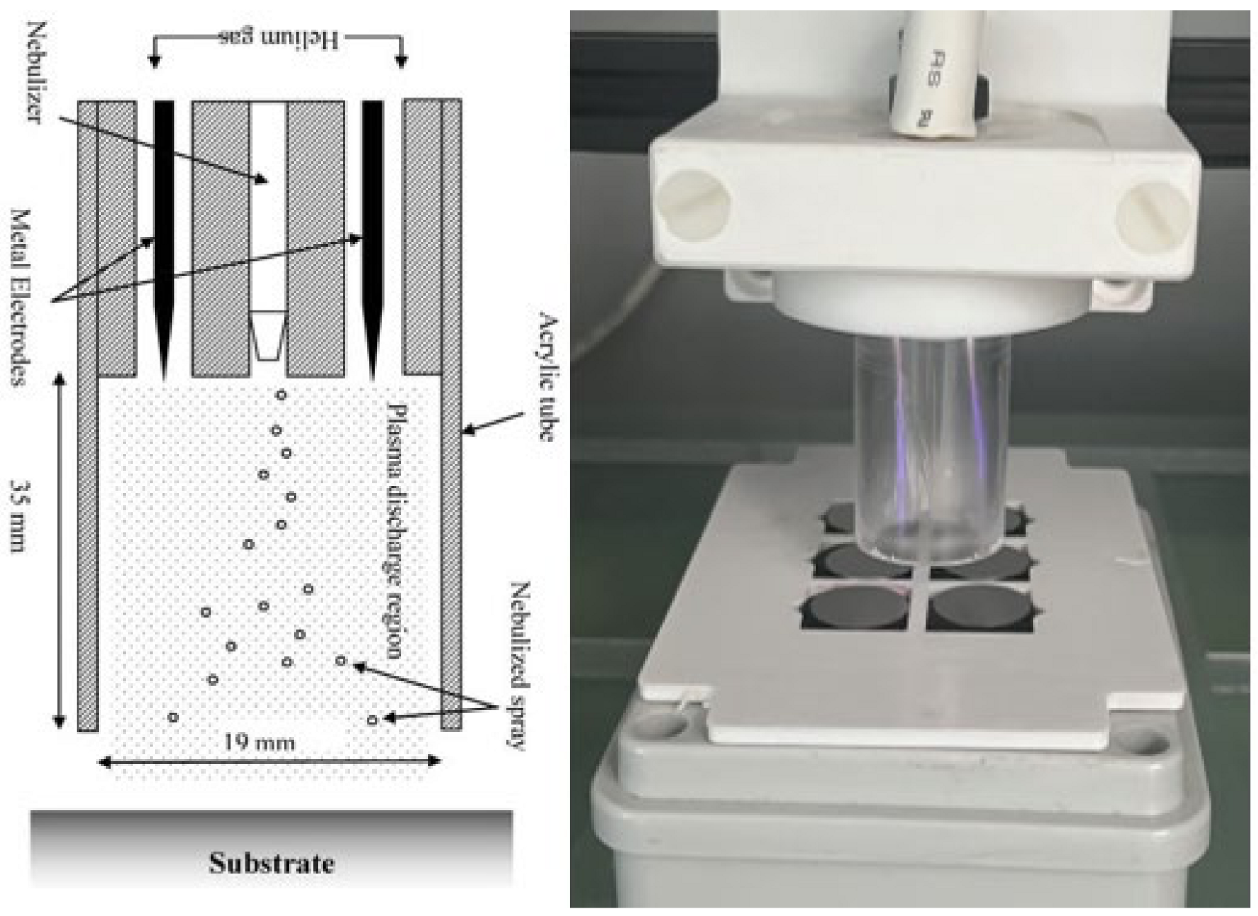 Pathogens 13 00326 g001