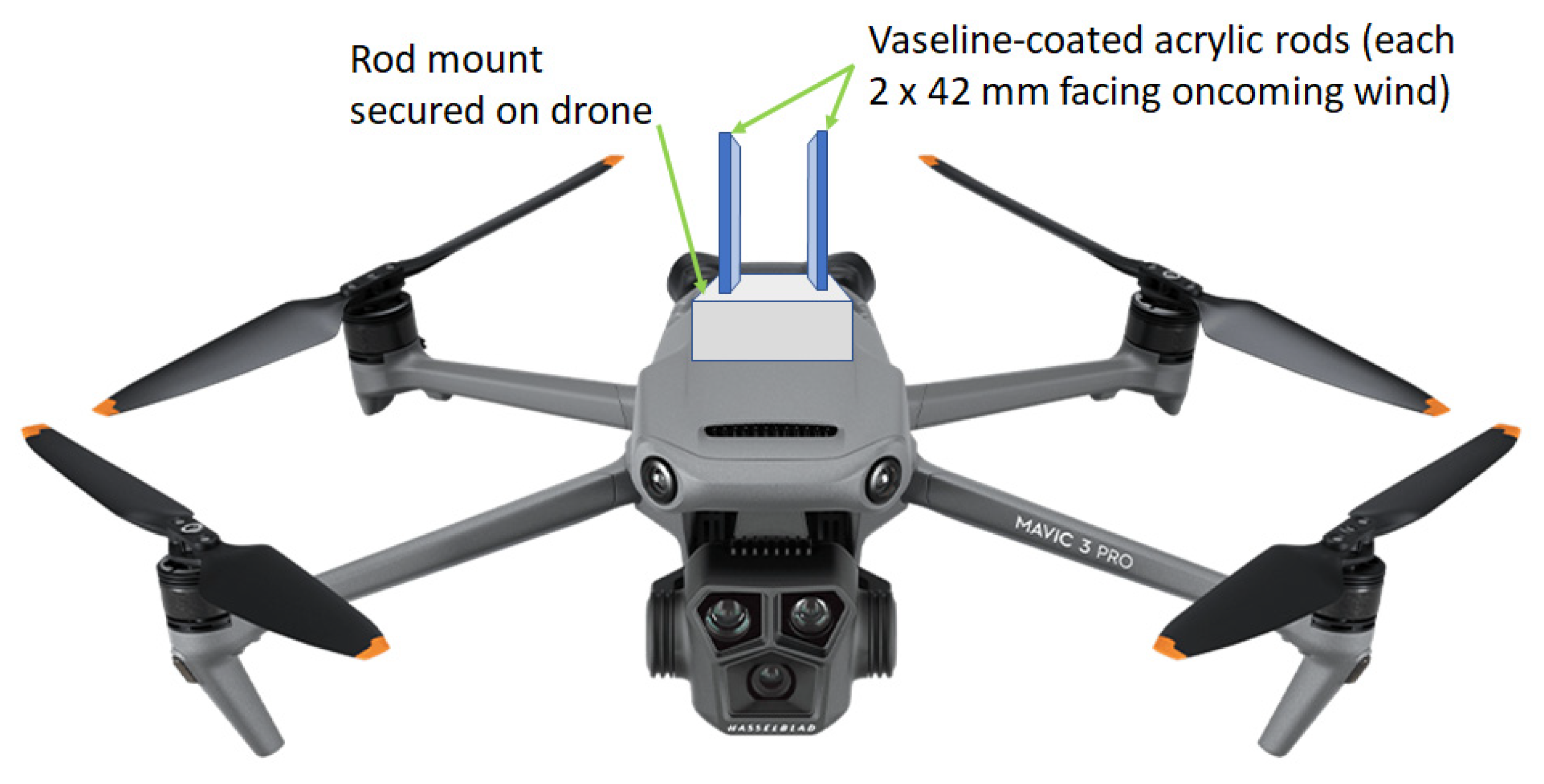 Pathogens 13 00330 g001 Pathogens 13 00330 g001