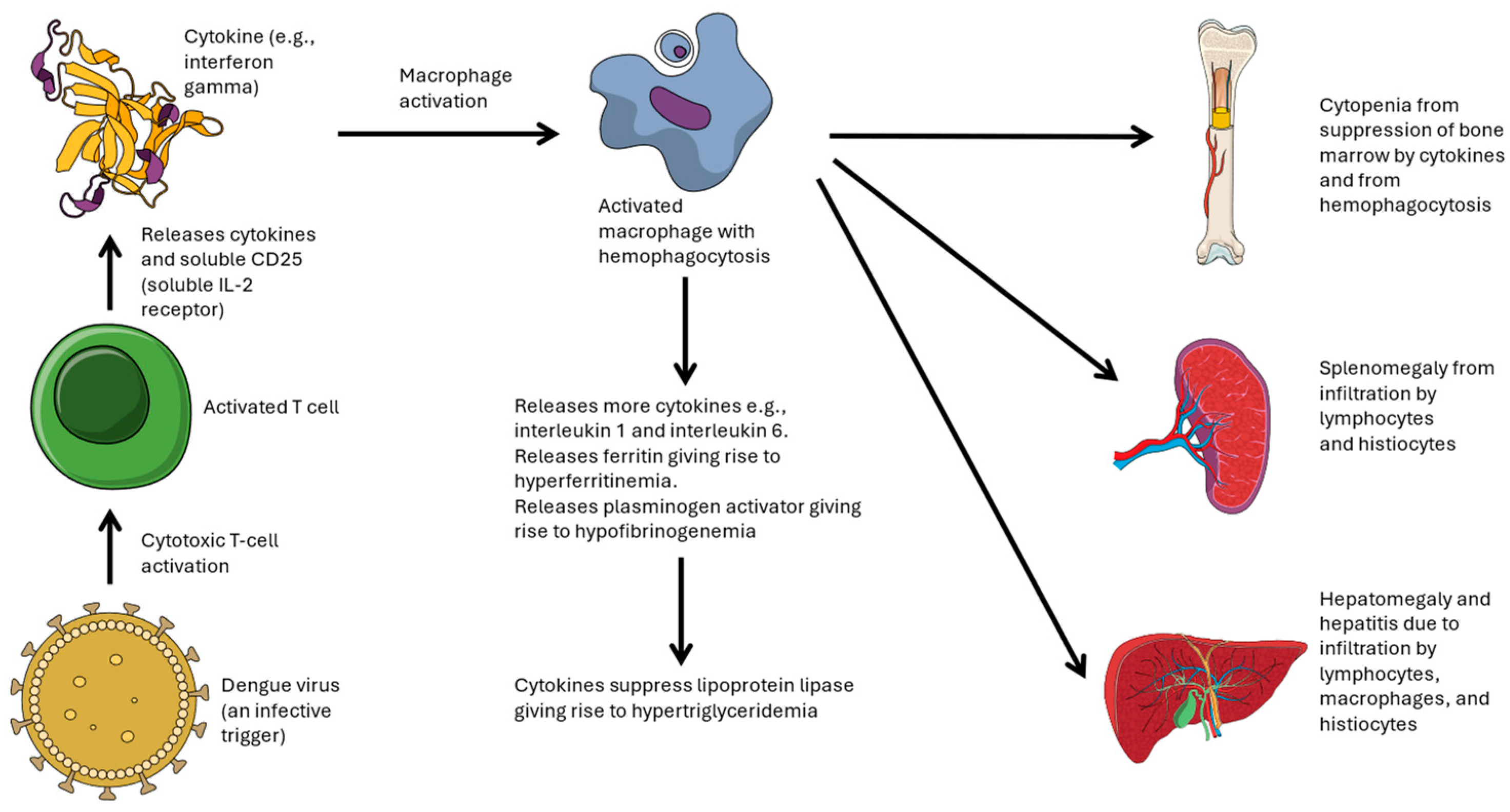 Pathogens 13 00332 g001