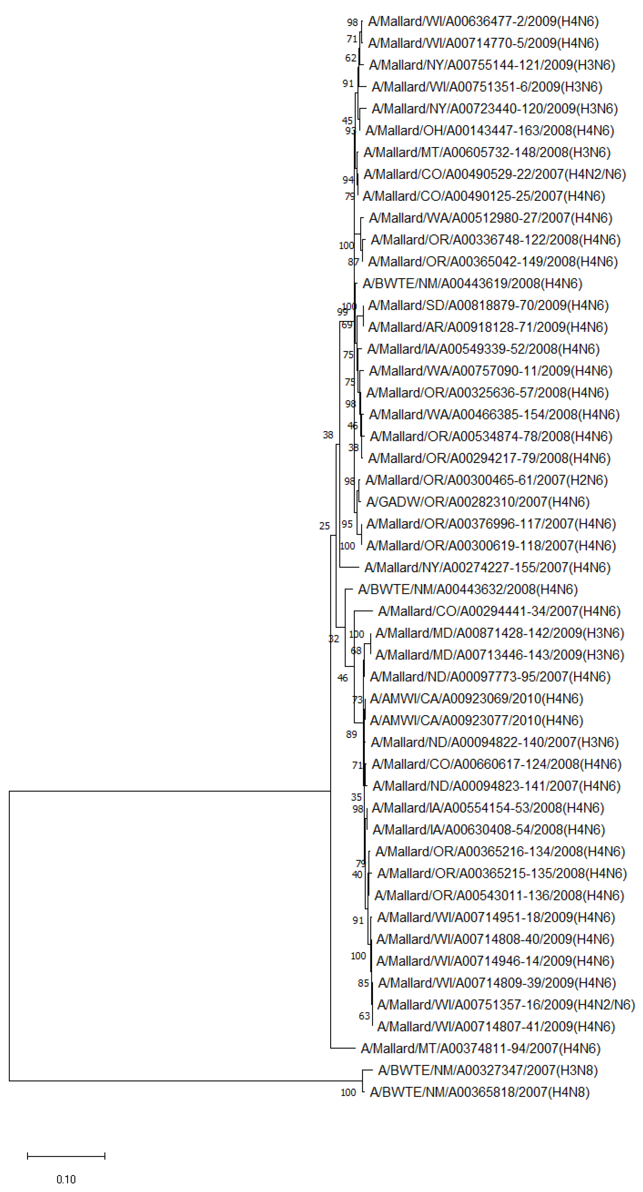 Pathogens 13 00333 g003