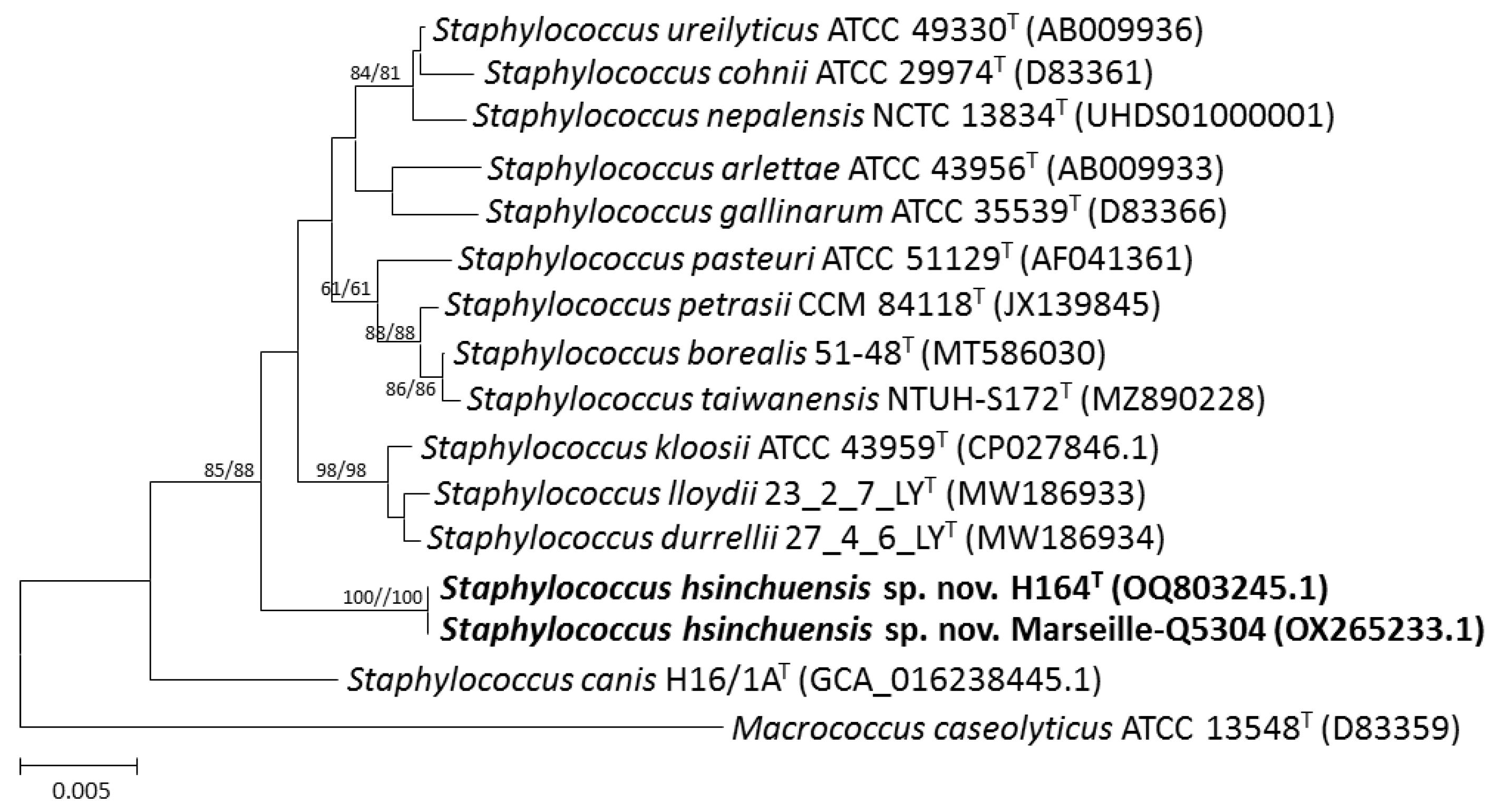 Pathogens 13 00343 g001