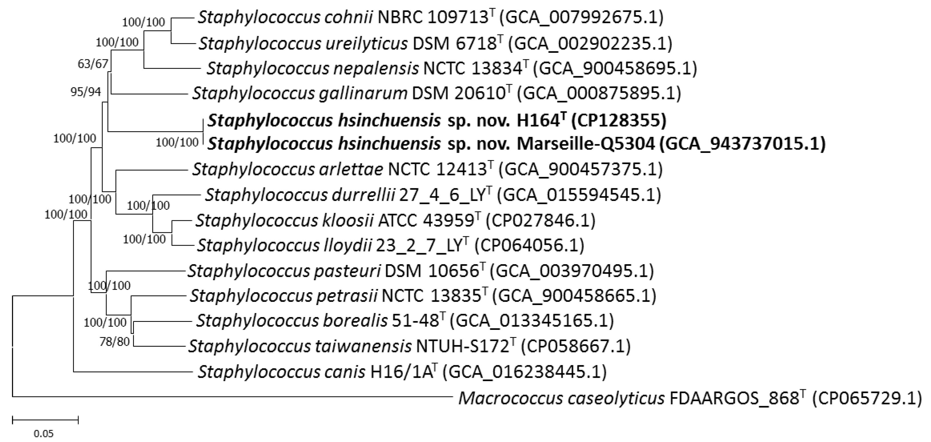 Pathogens 13 00343 g002