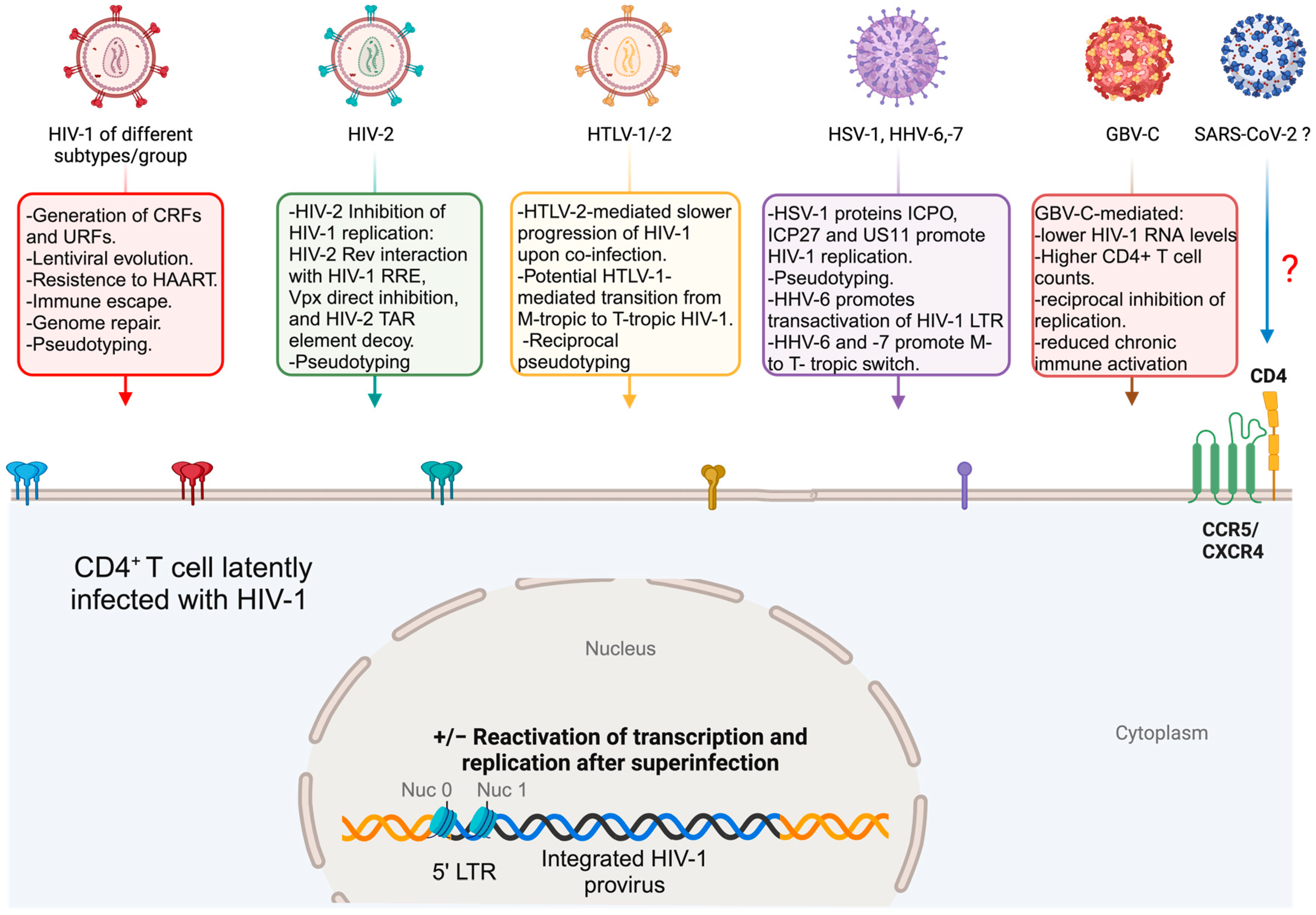 Pathogens 13 00349 g002