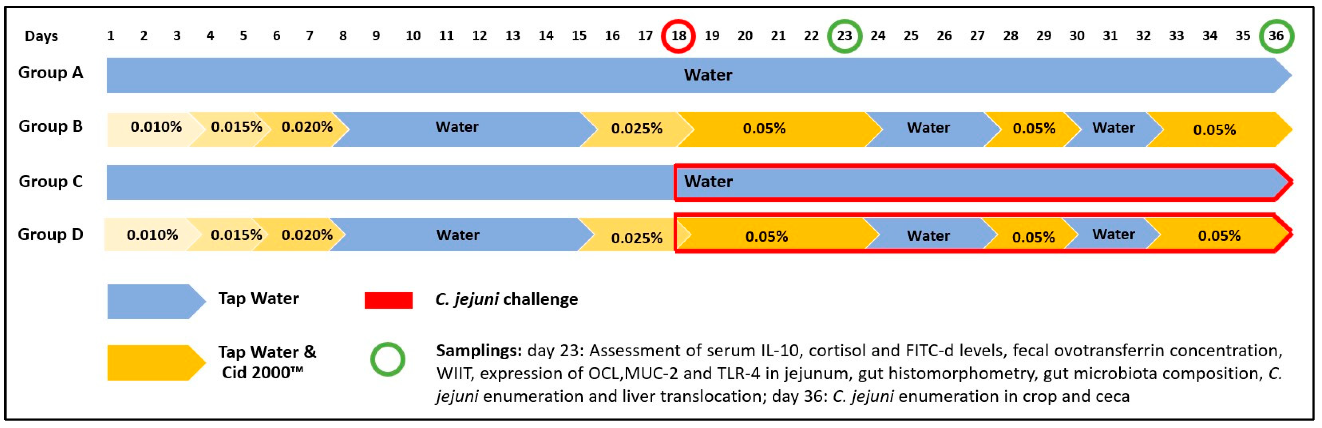 Pathogens 13 00356 g001