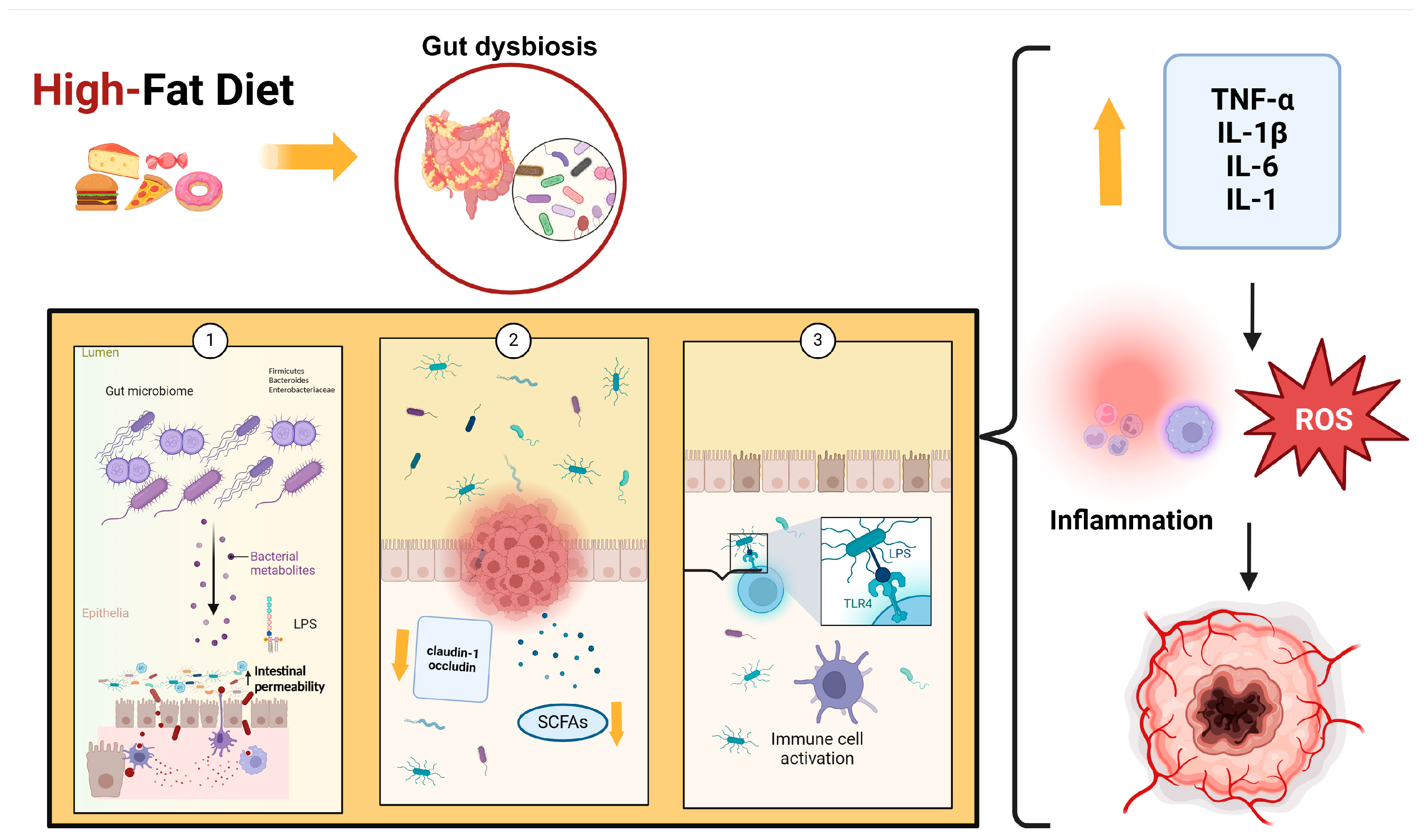 Pathogens 13 00357 g001