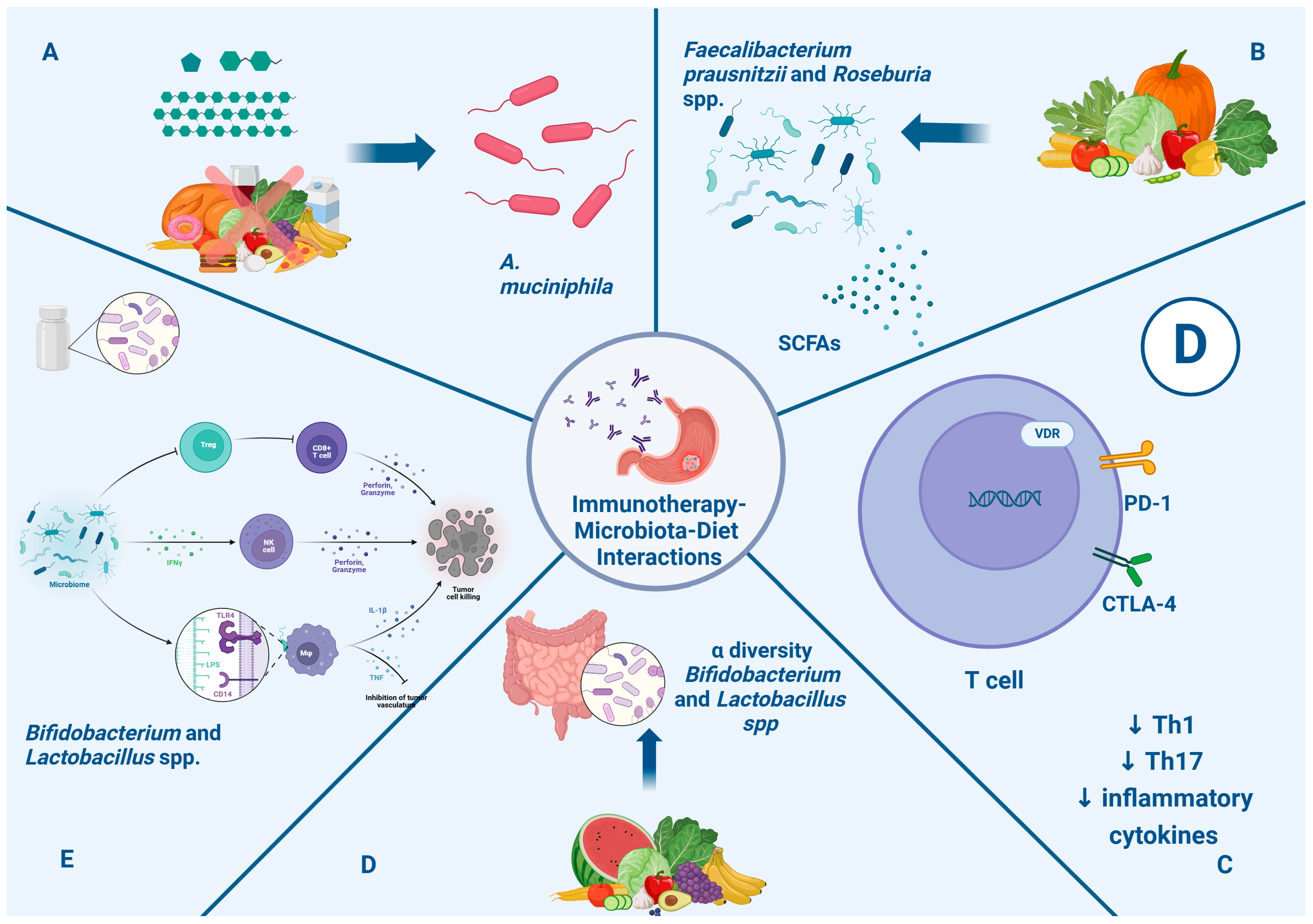 Pathogens 13 00357 g002