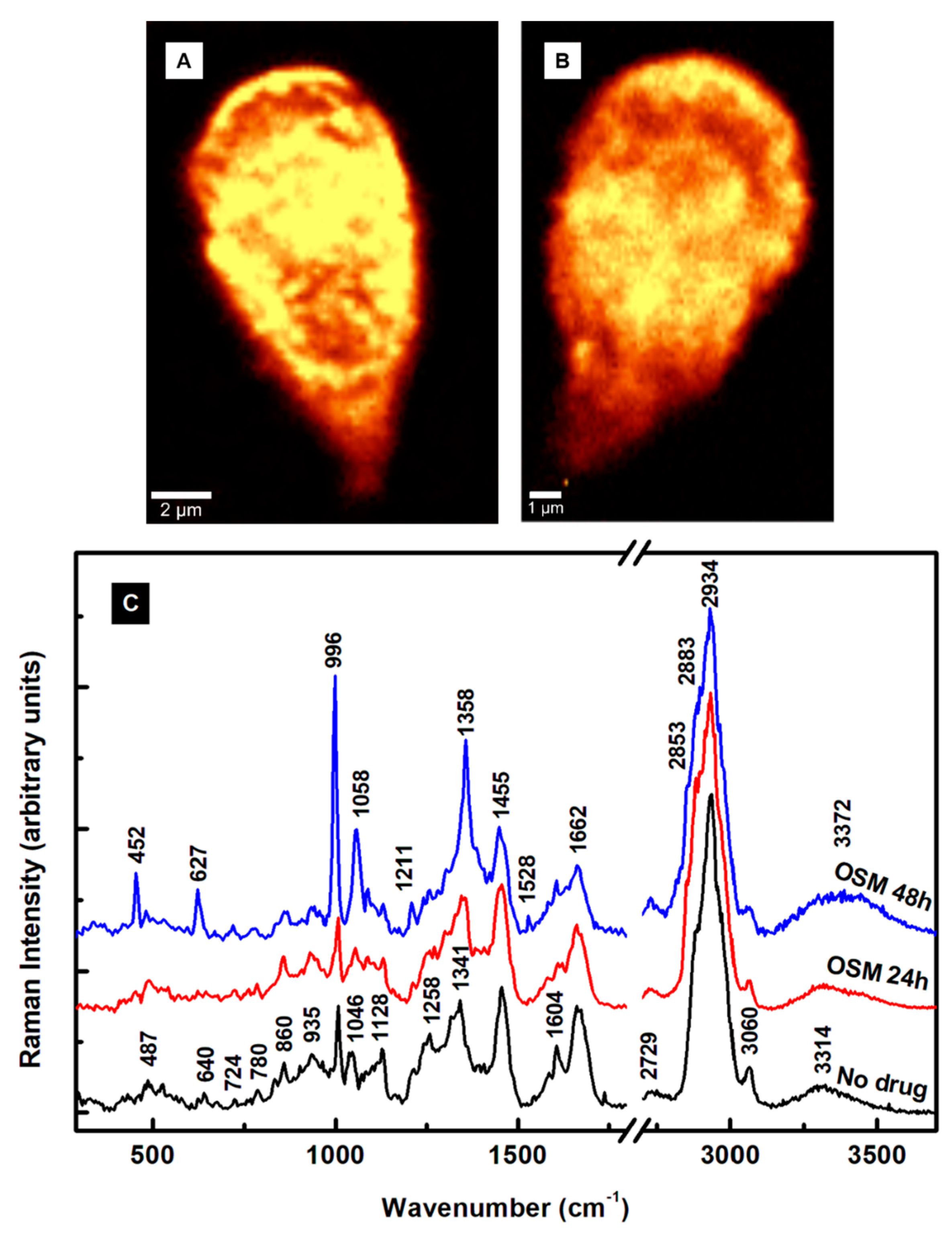 Pathogens 13 00358 g004 Pathogens 13 00358 g004