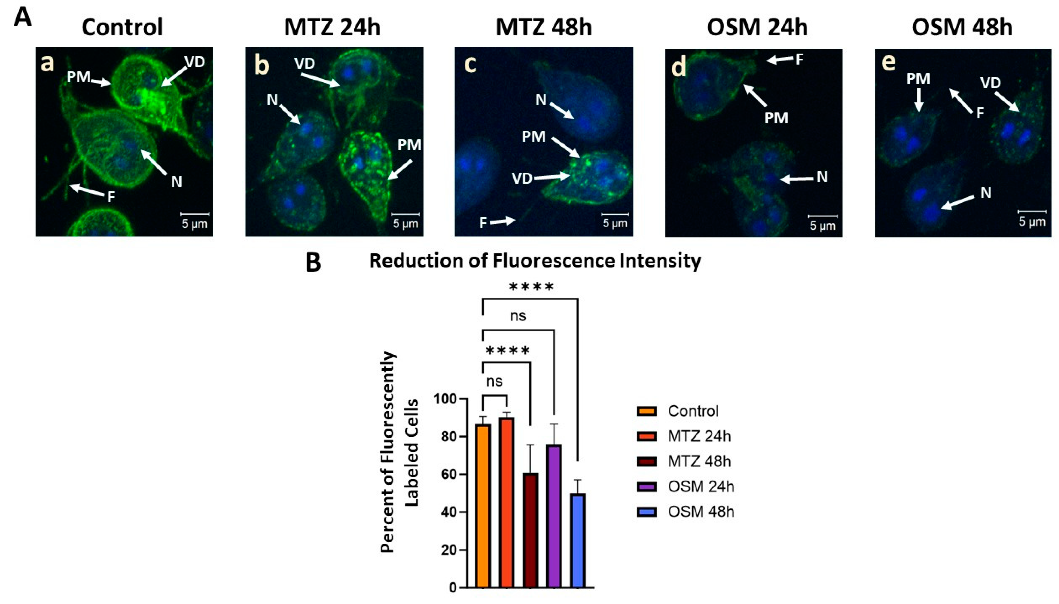 Pathogens 13 00358 g005 Pathogens 13 00358 g005