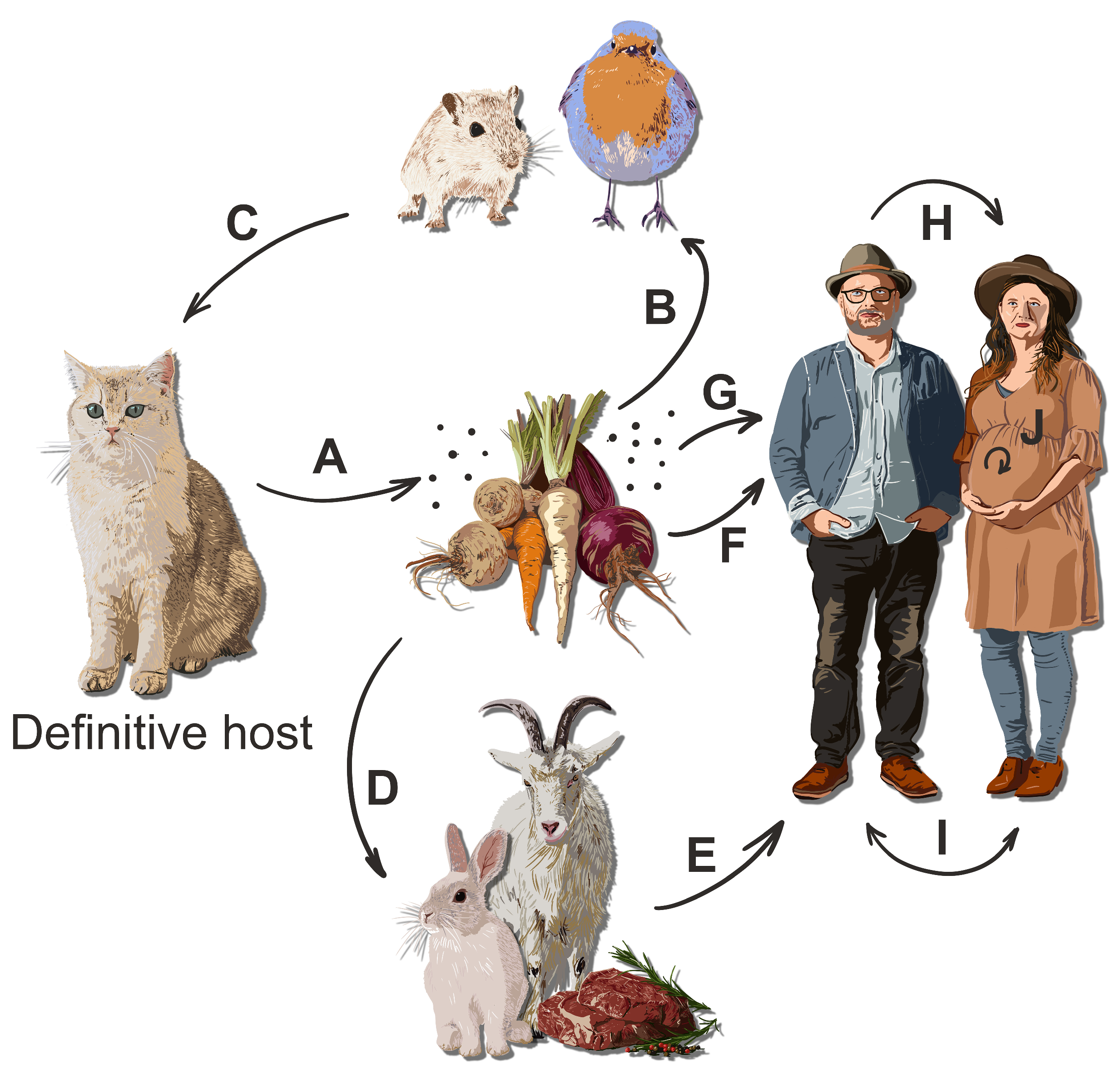 Pathogens 13 00363 g001