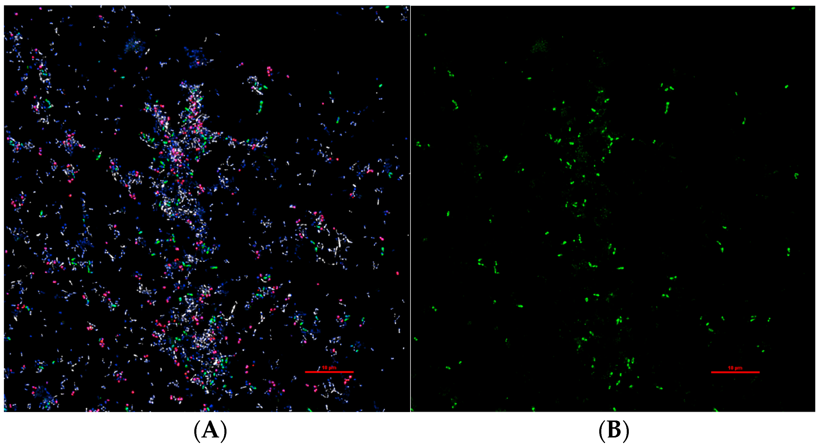 Pathogens 13 00364 g001