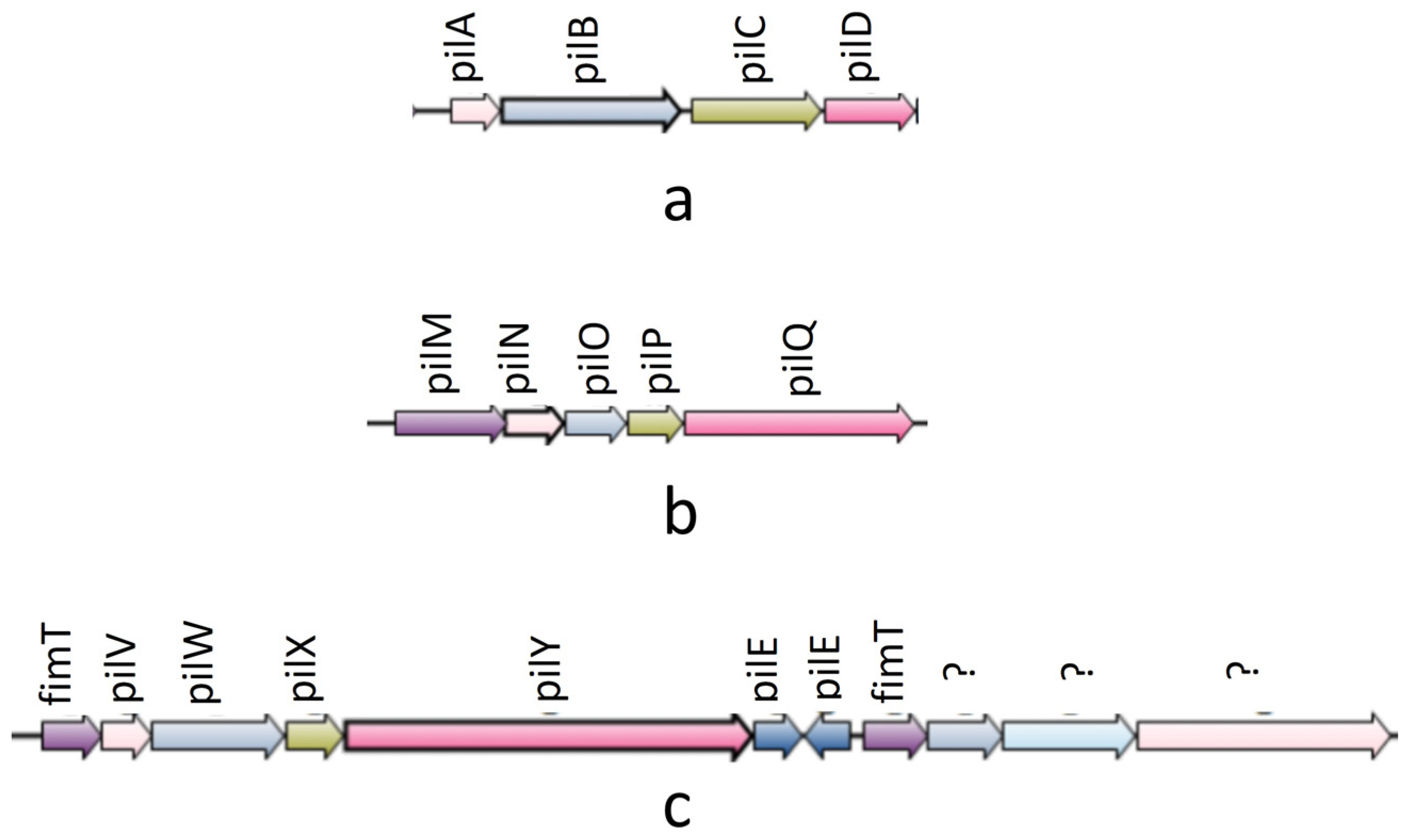 Pathogens 13 00365 g002