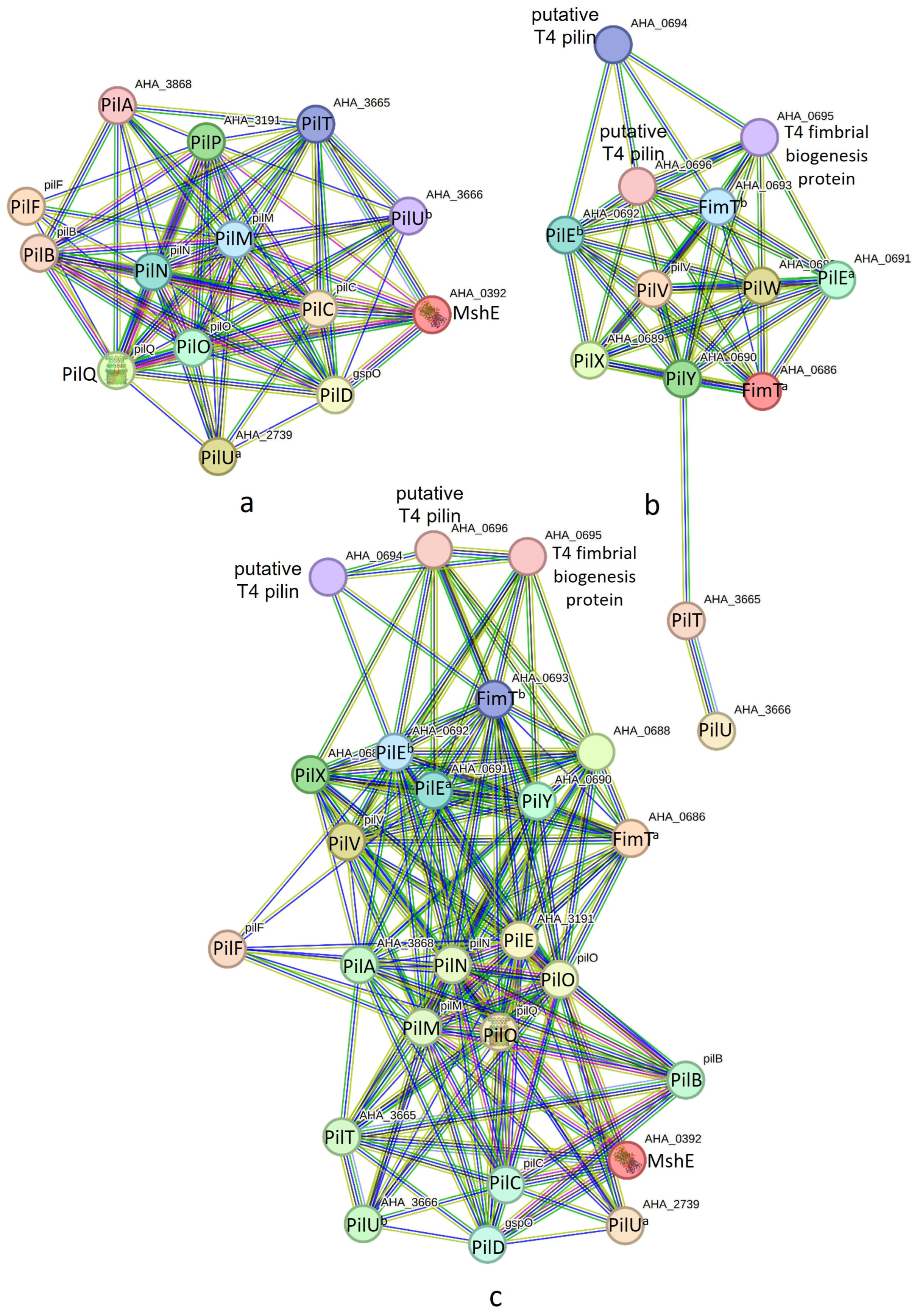 Pathogens 13 00365 g003