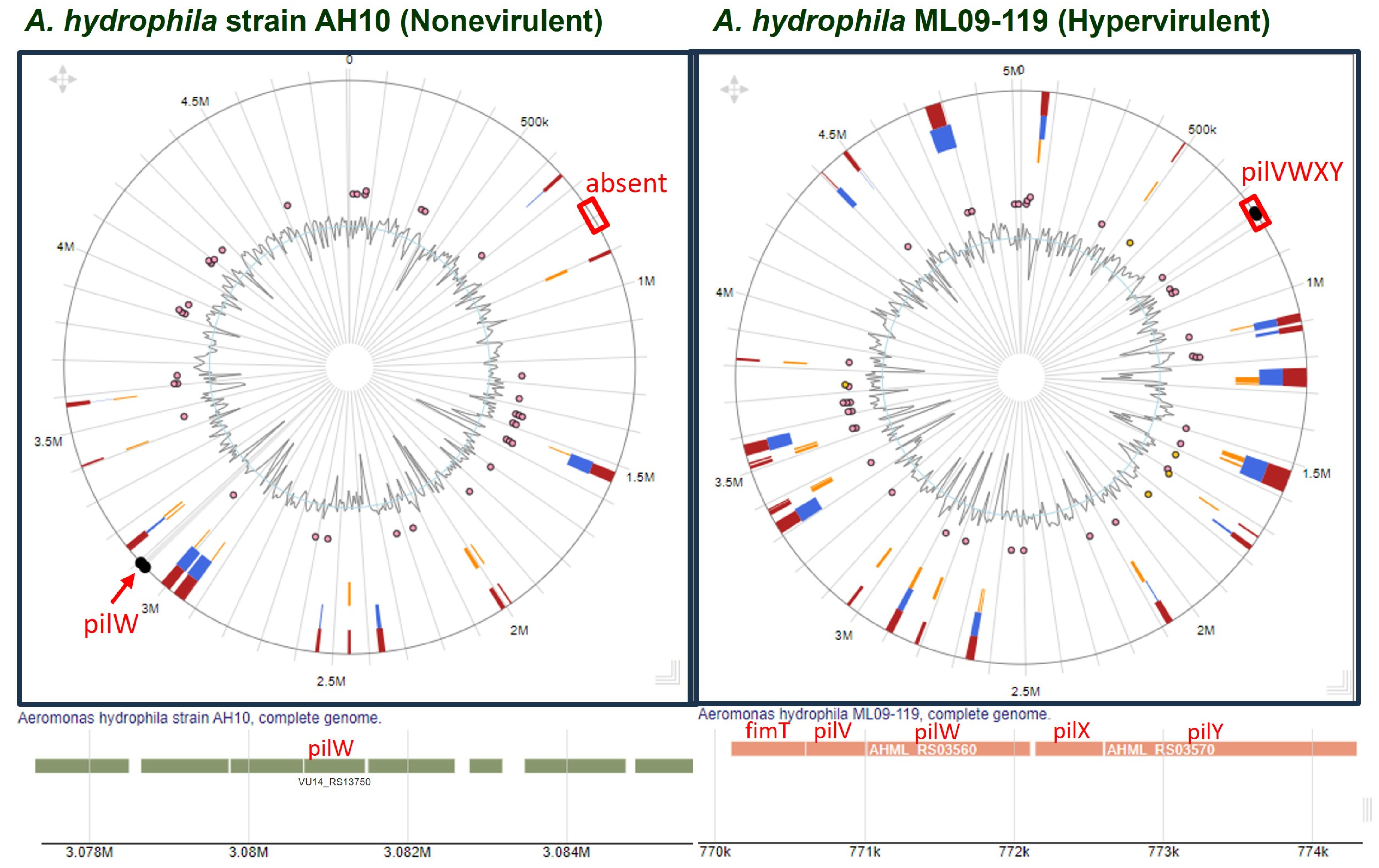 Pathogens 13 00365 g005