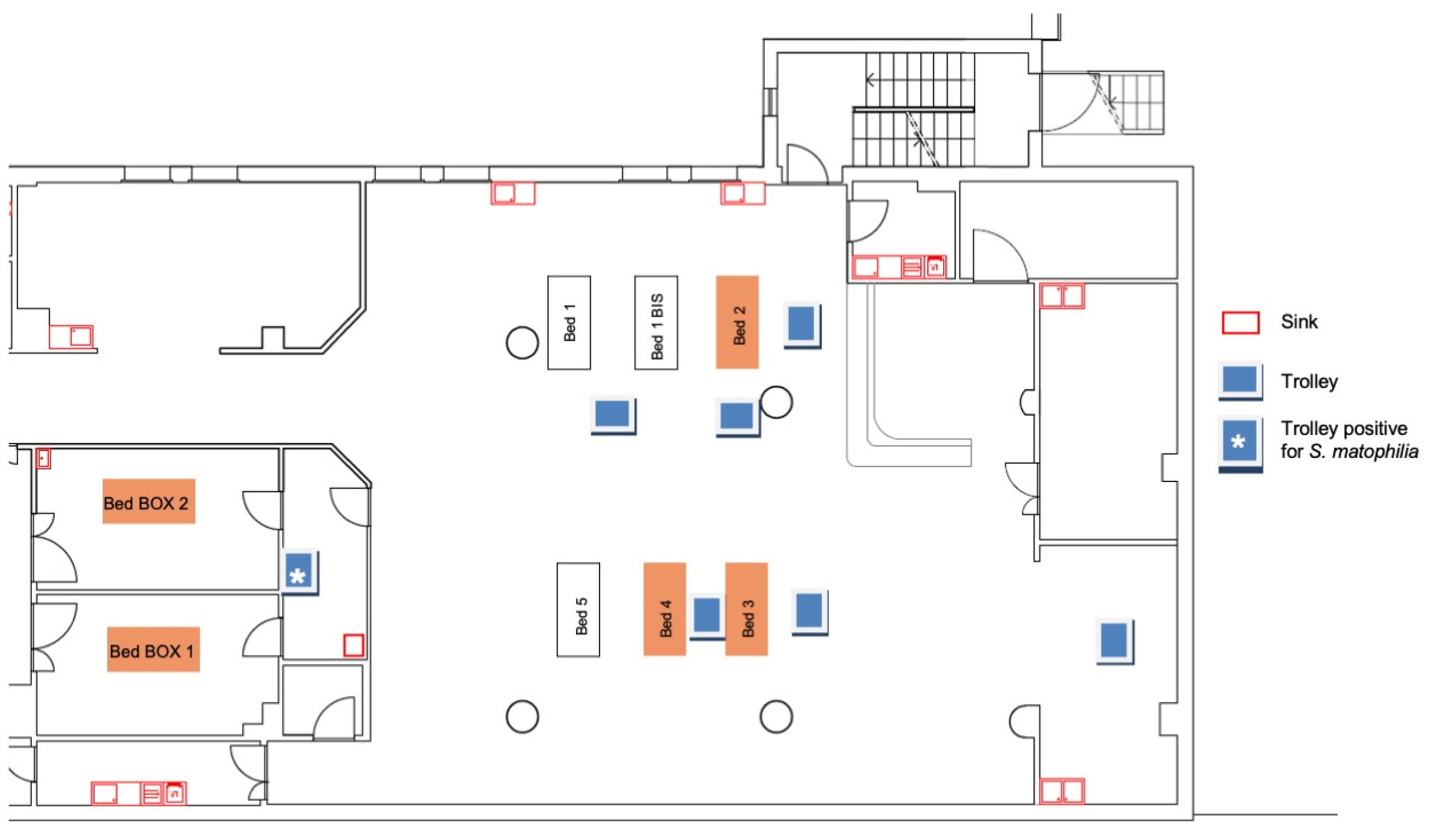 Pathogens 13 00369 g002