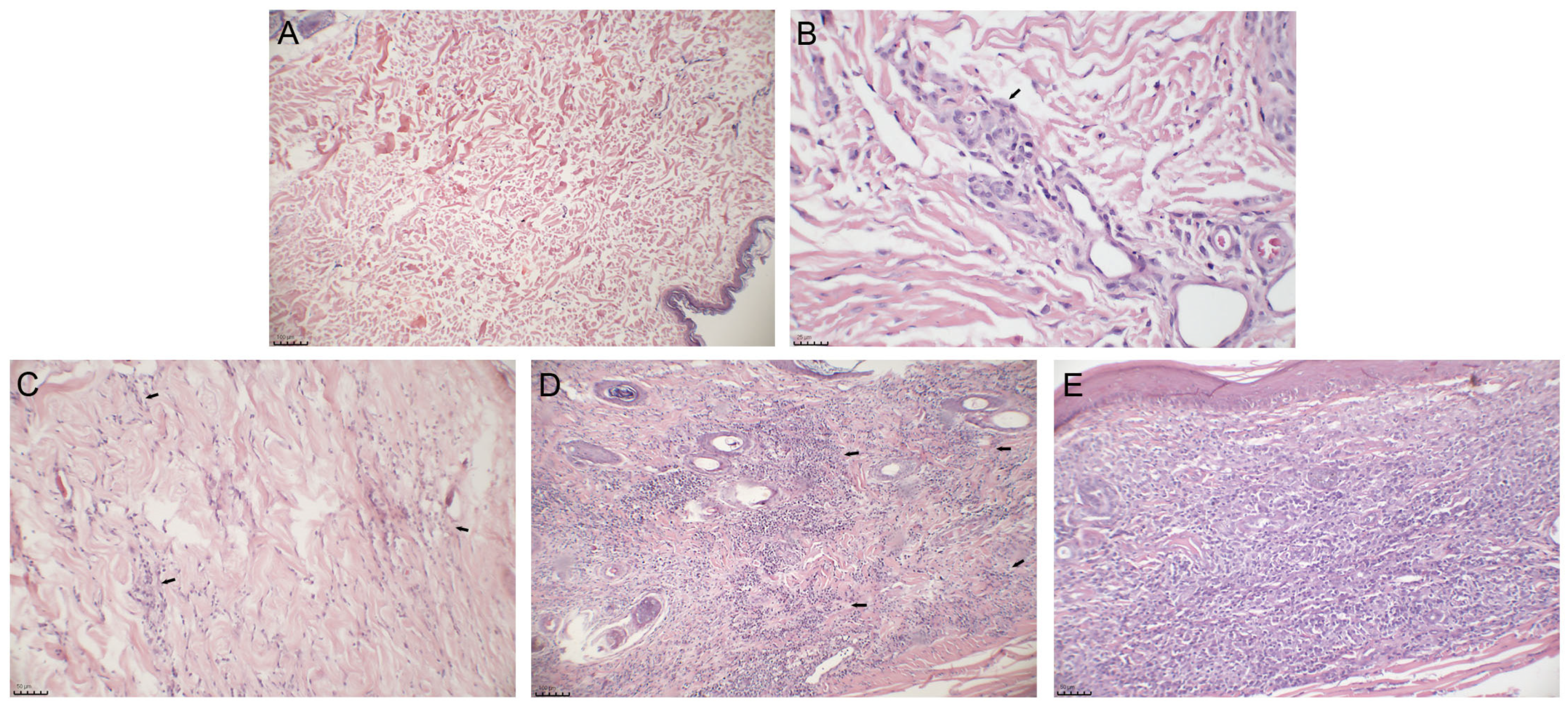 Pathogens 13 00371 g001