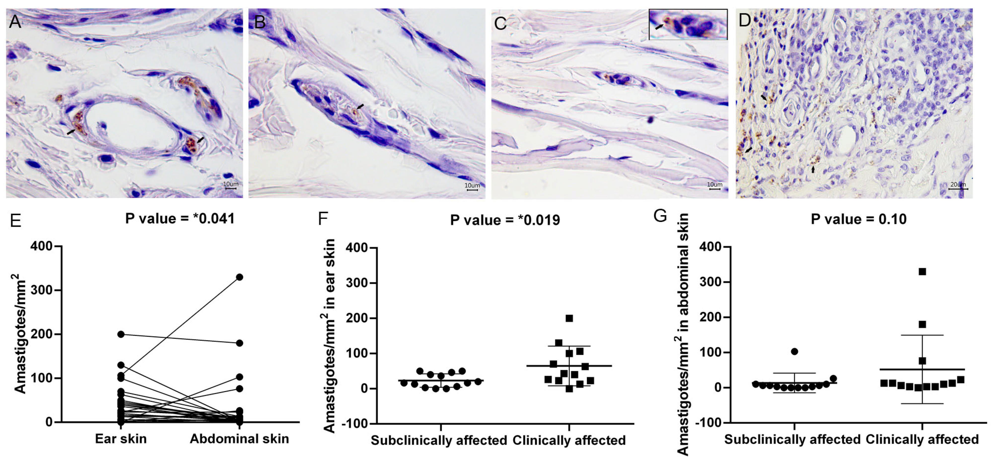 Pathogens 13 00371 g002