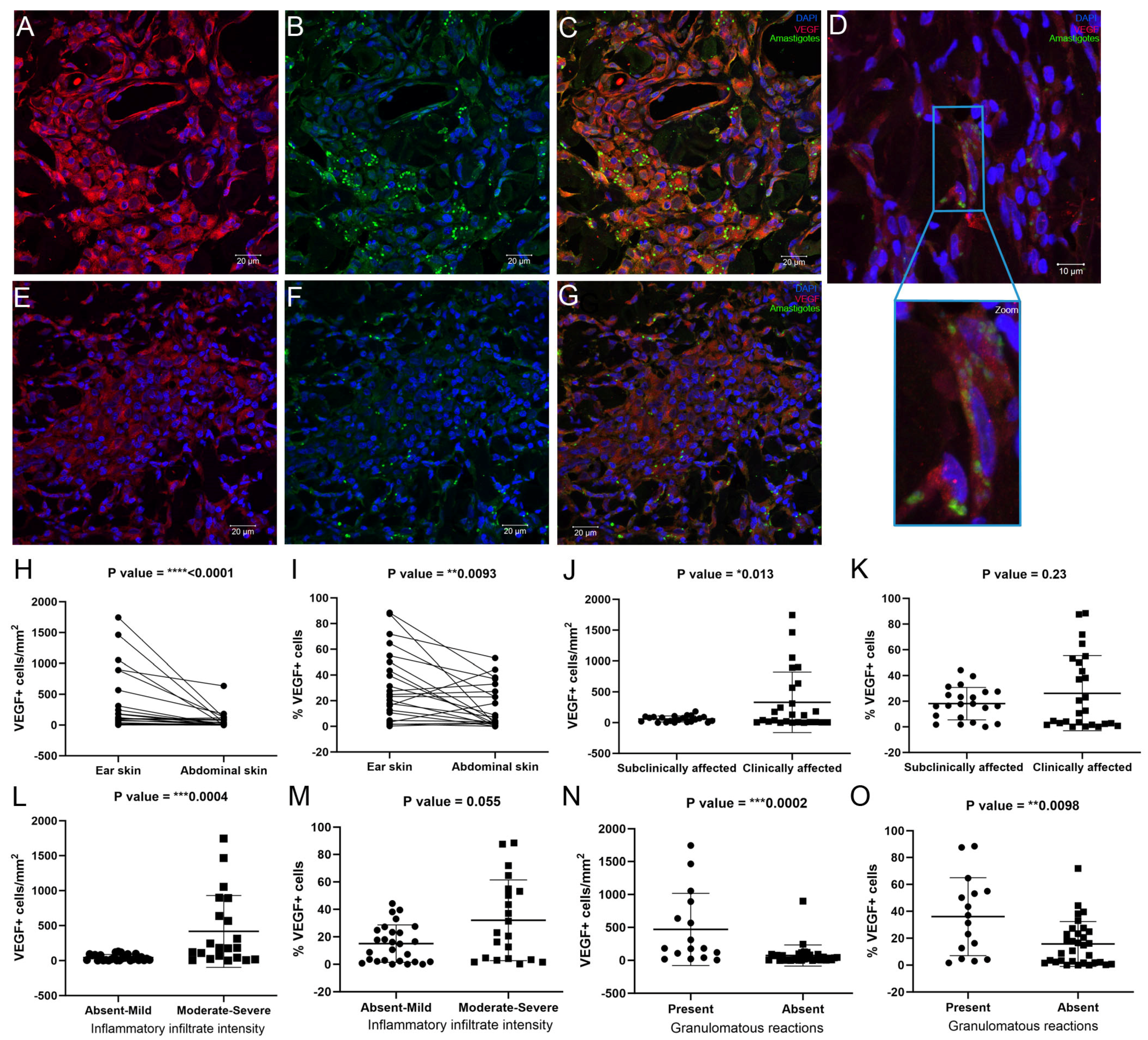Pathogens 13 00371 g005