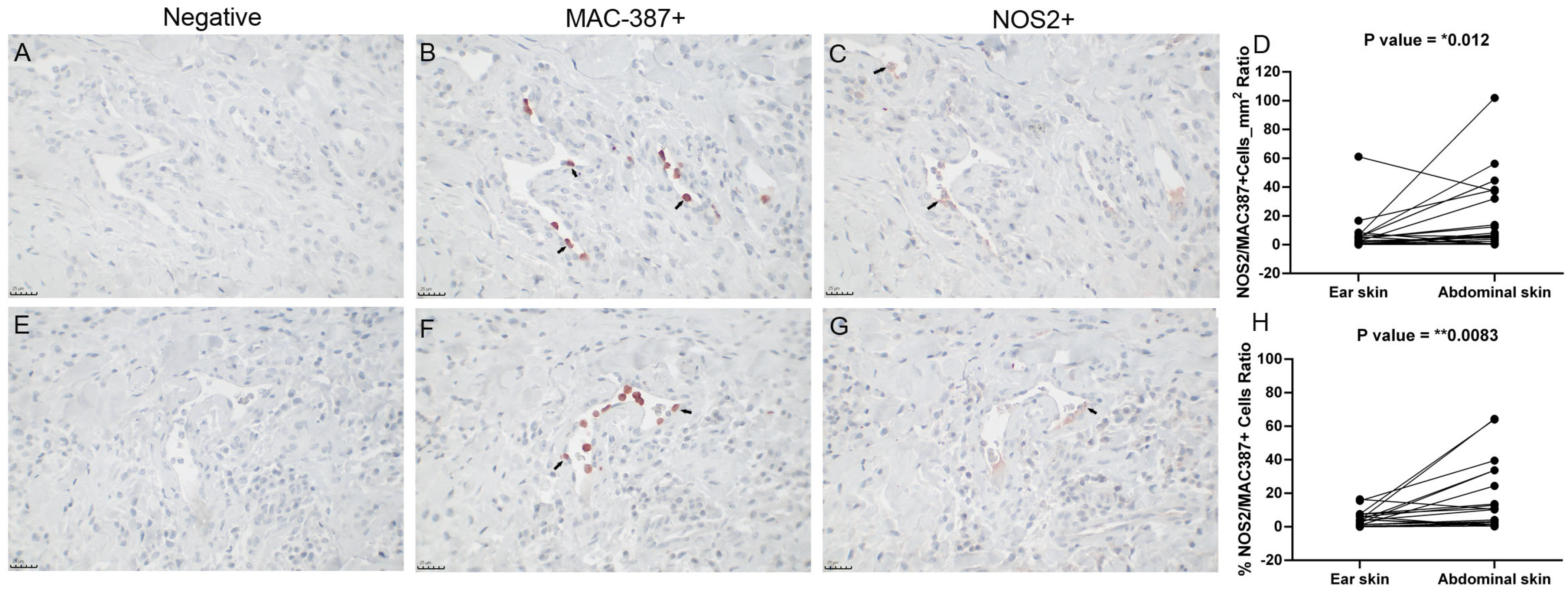 Pathogens 13 00371 g007